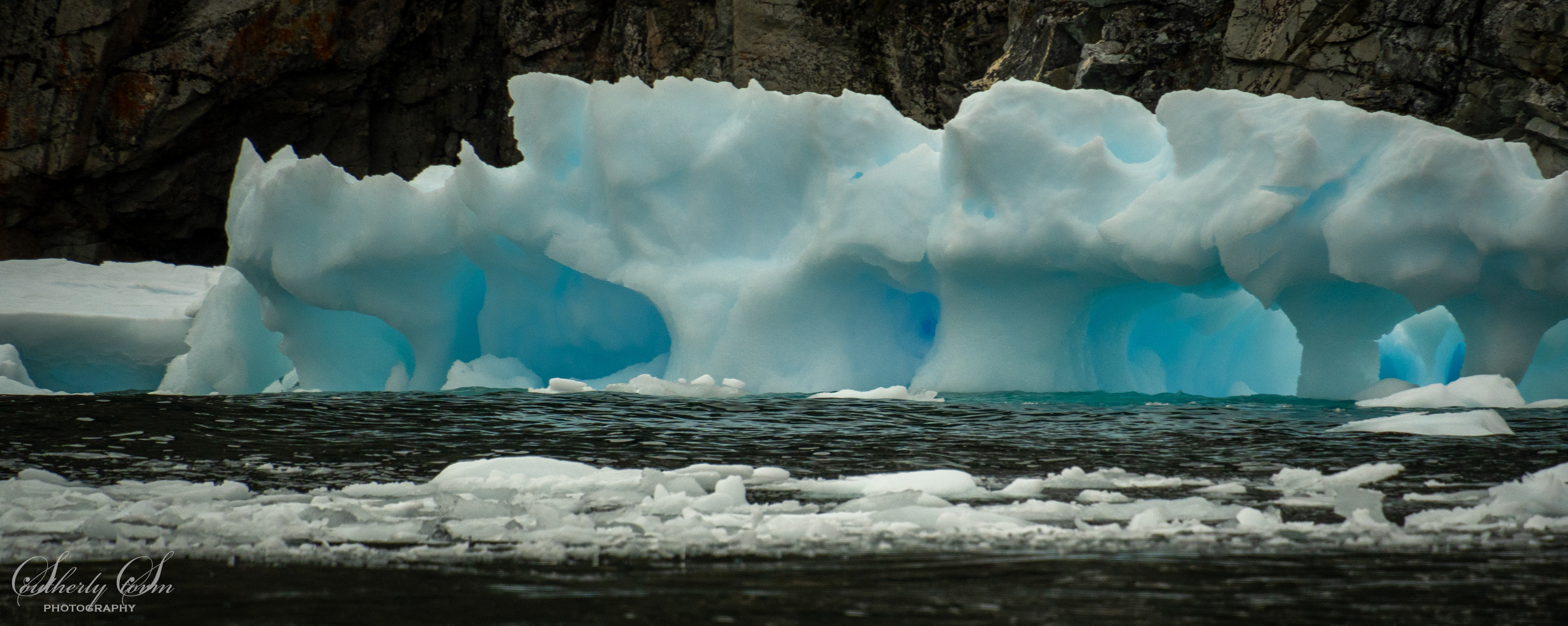 Polar molars