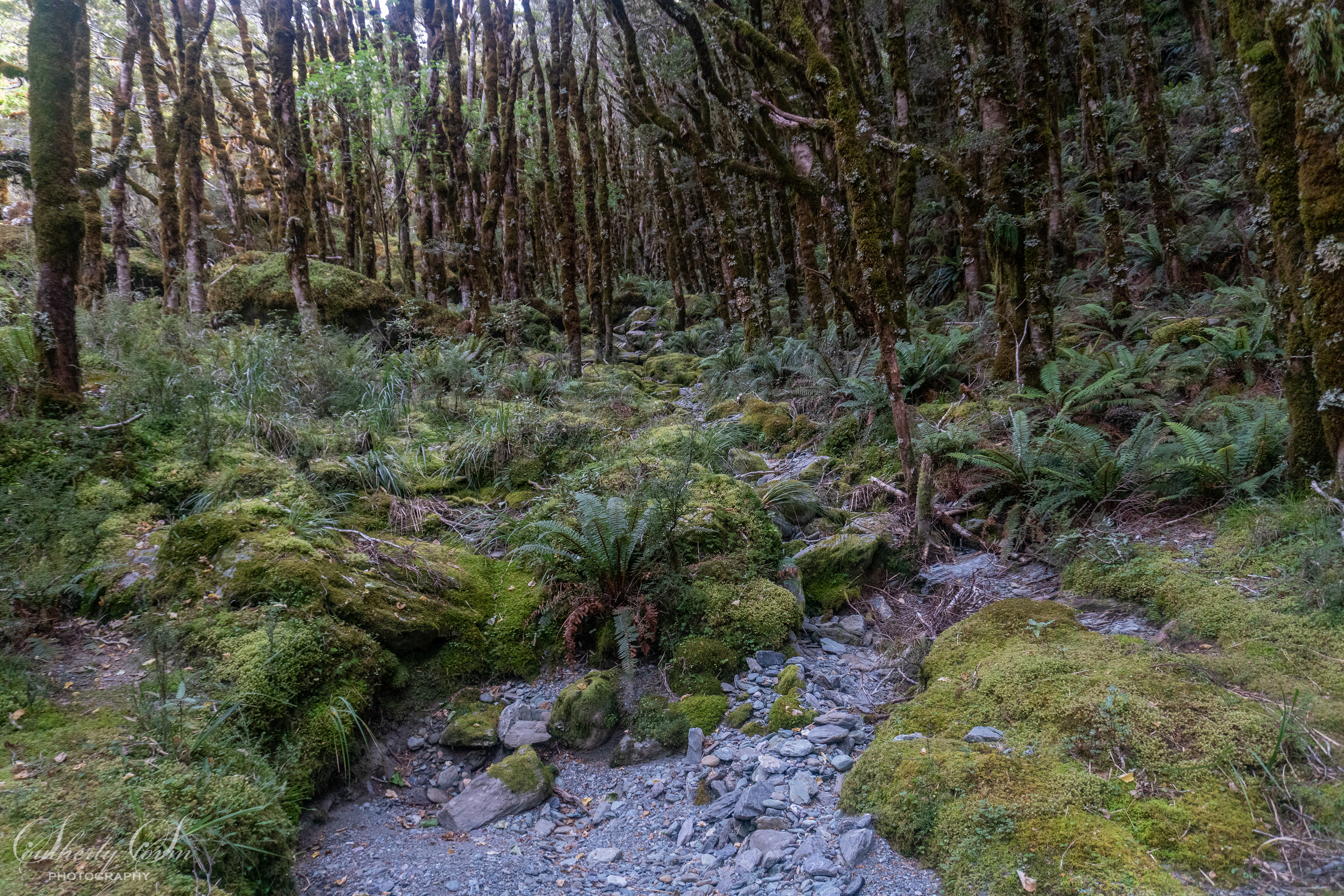 Hidden Falls Creek
