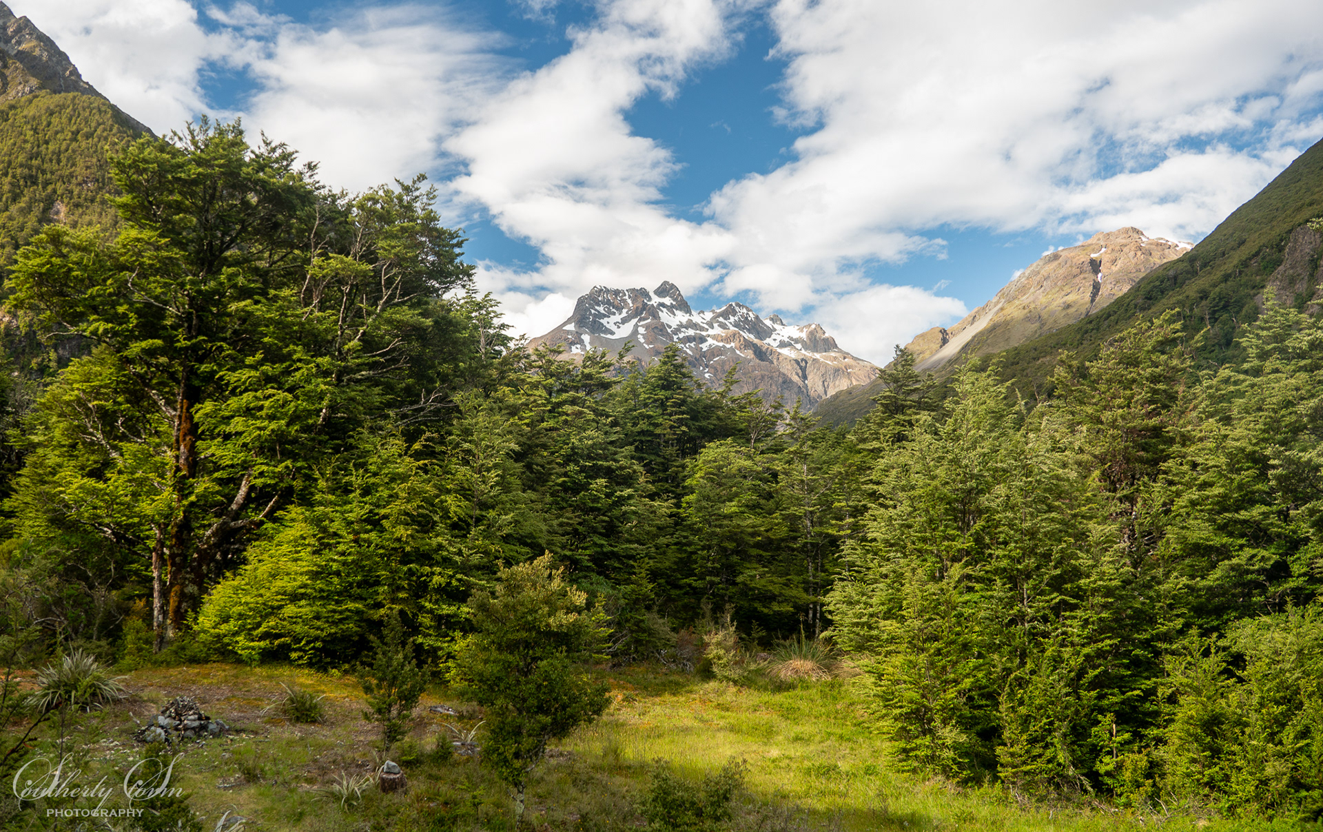 View from Carrington Hut