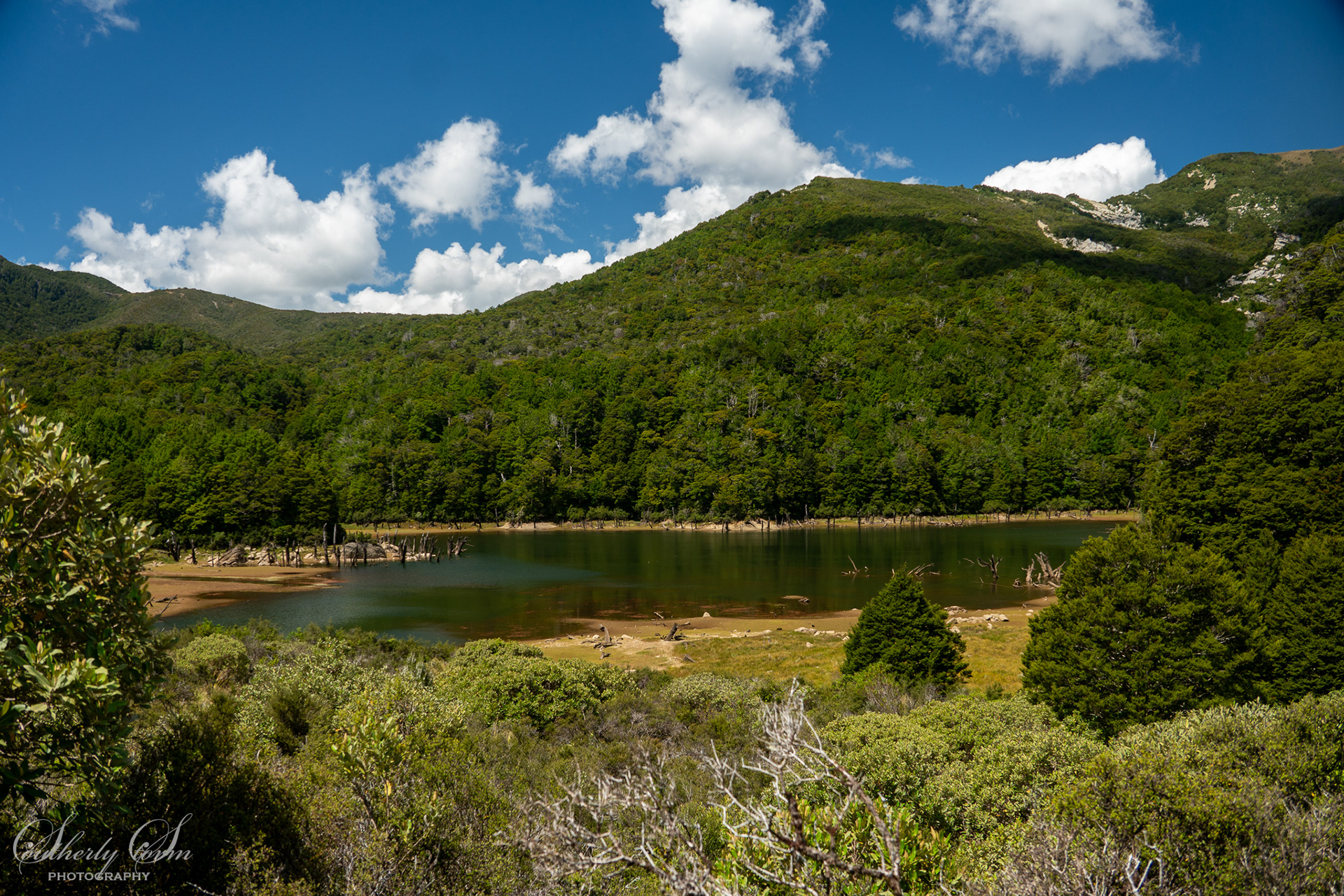 Matiri Valley