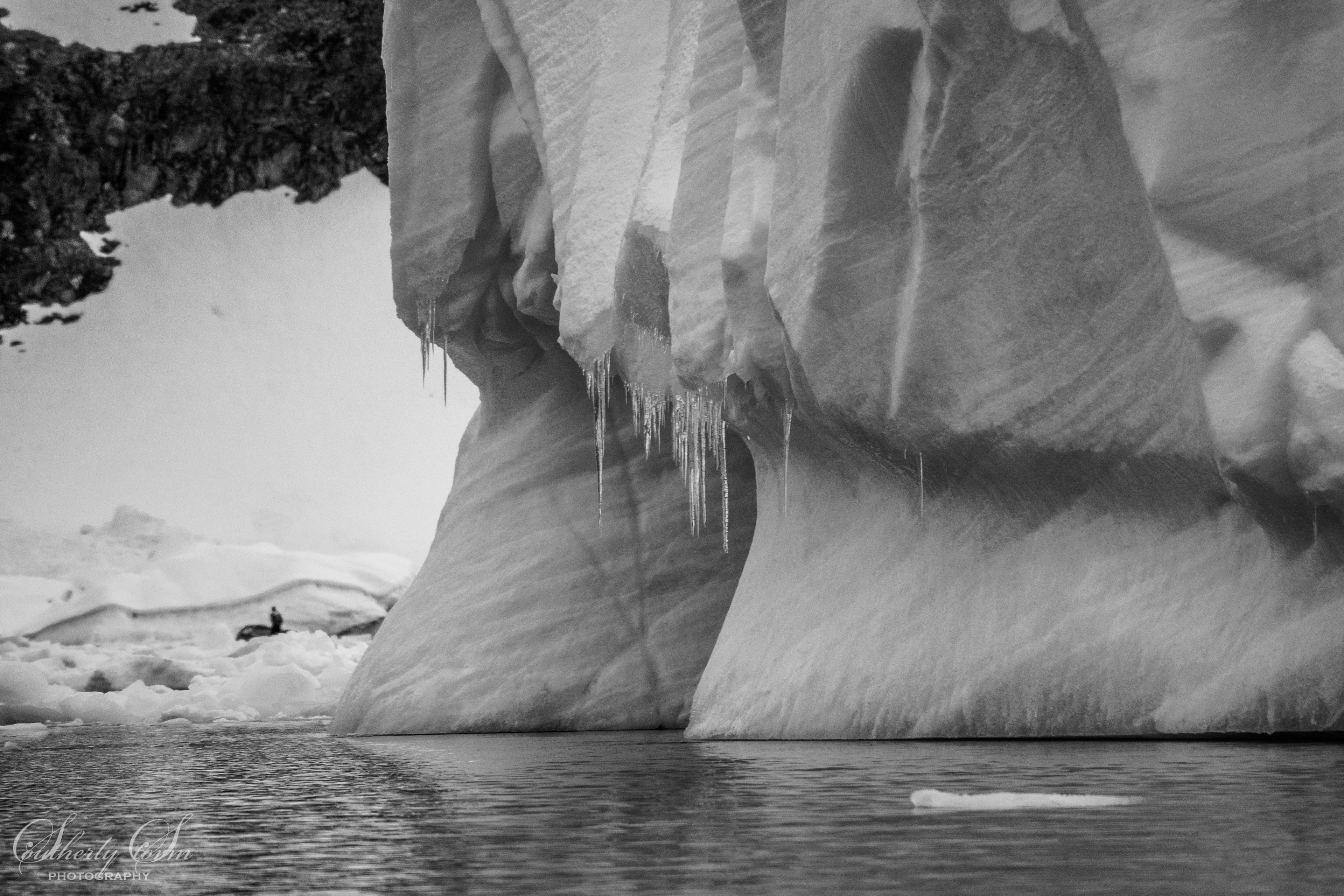 Icicles in Antarctica