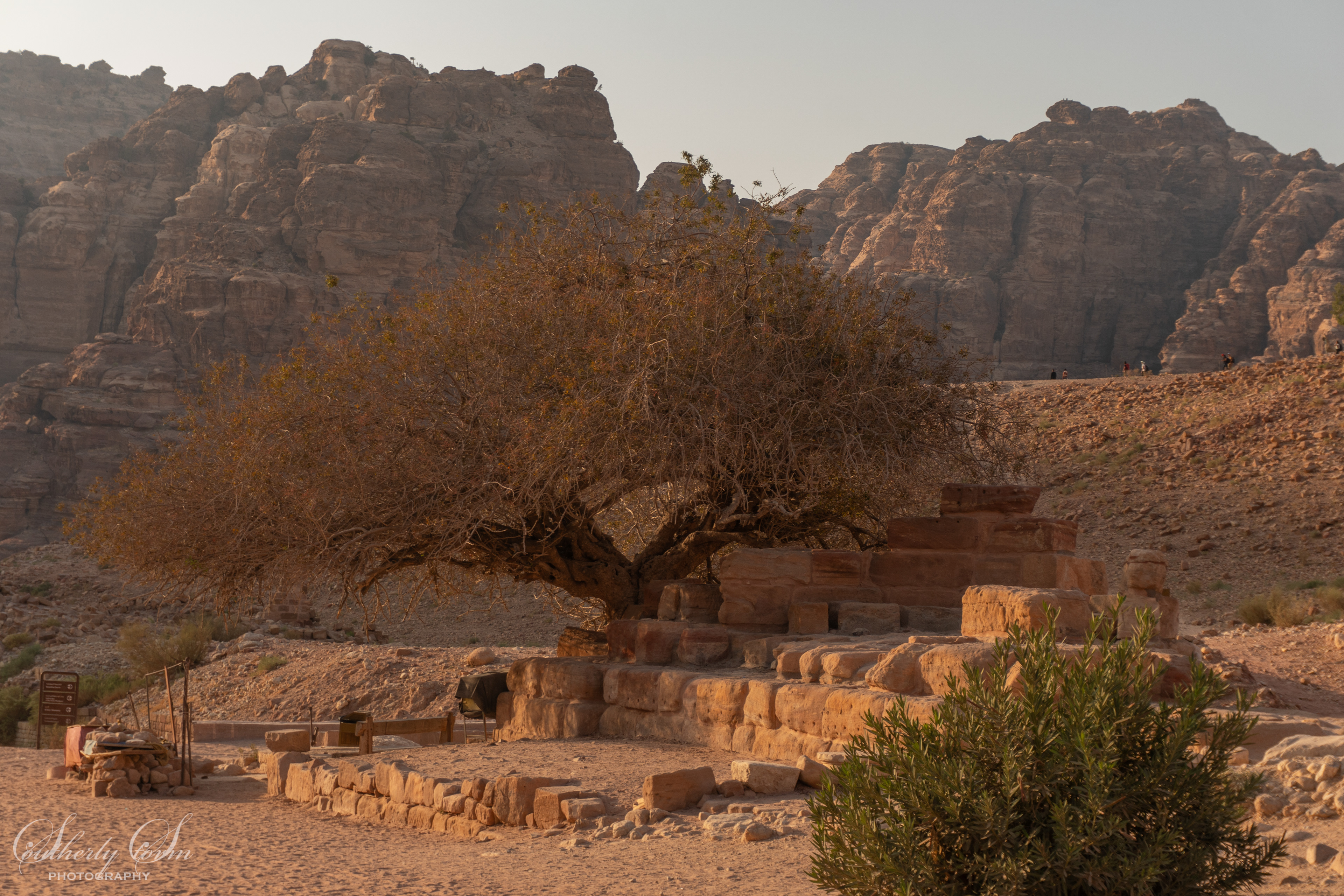 Nymphaeum