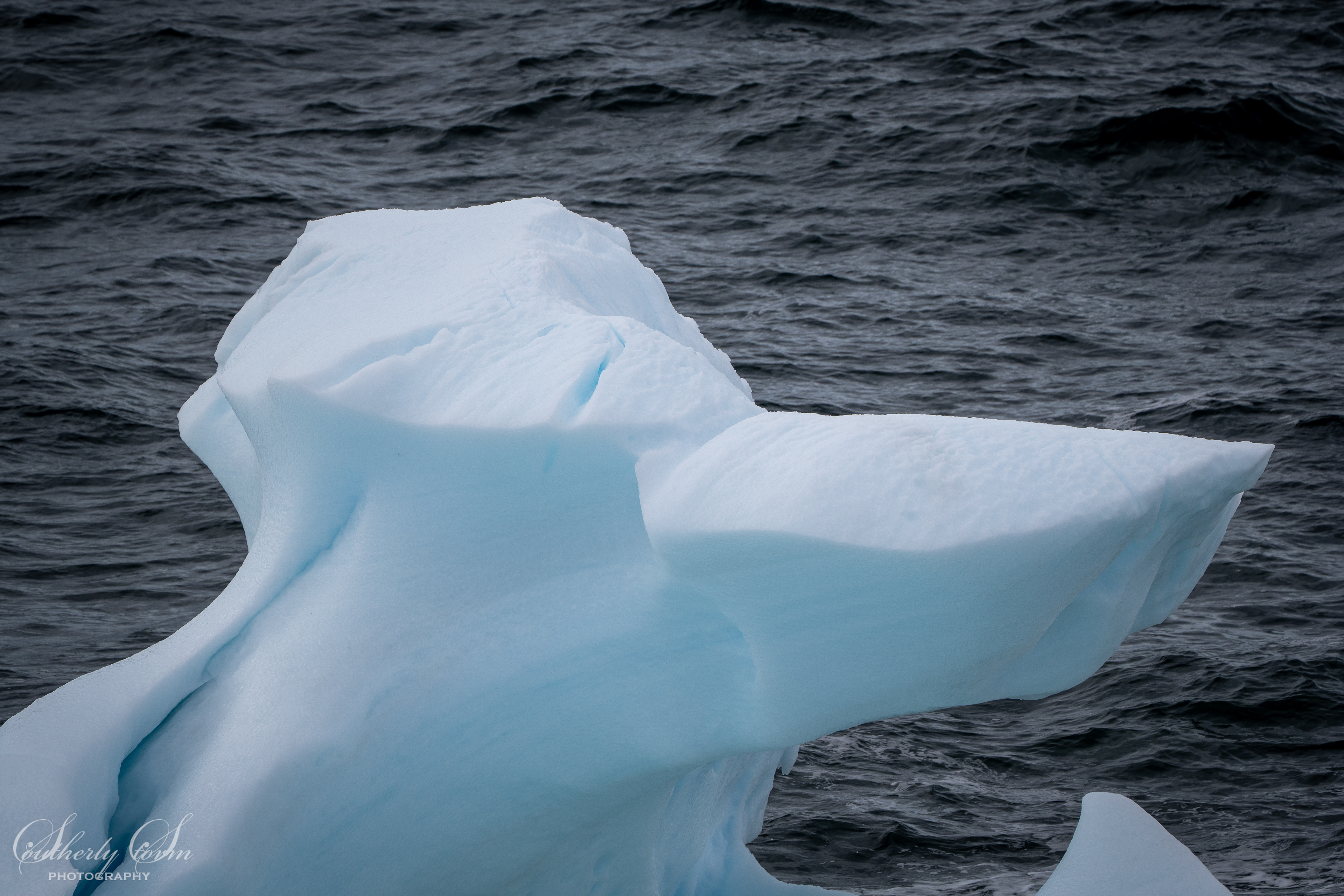 Iceberg whale tail