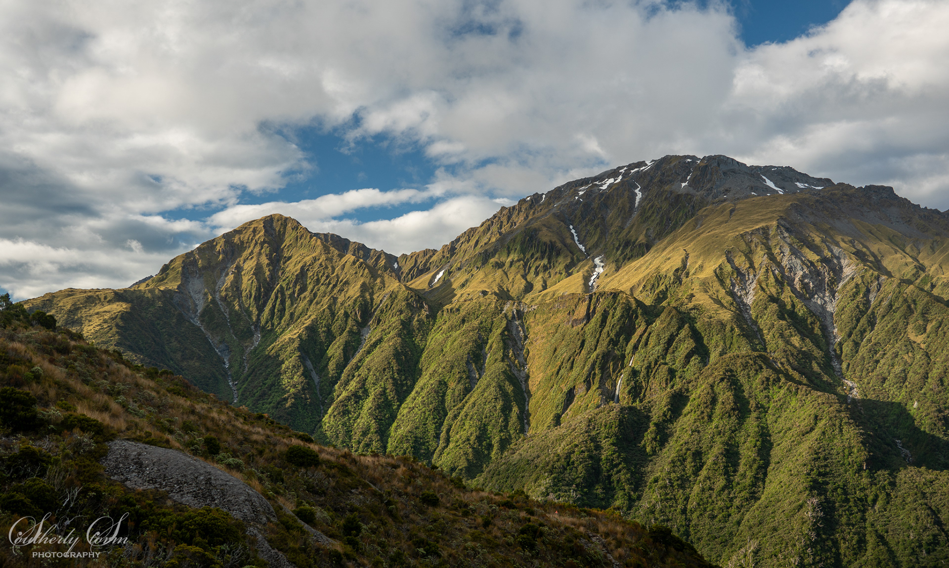 Classic New Zealand Landscape