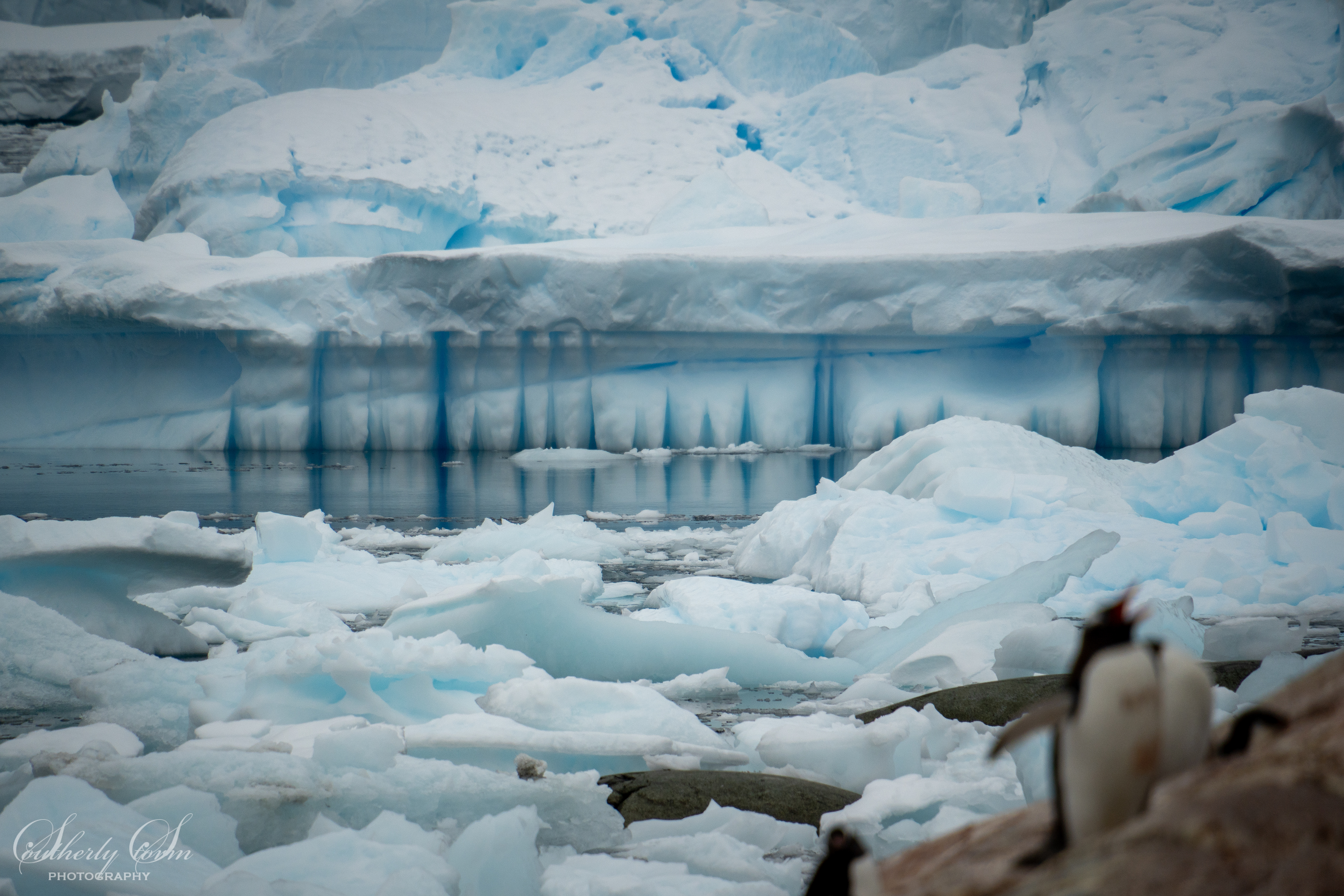 Classic antarctica