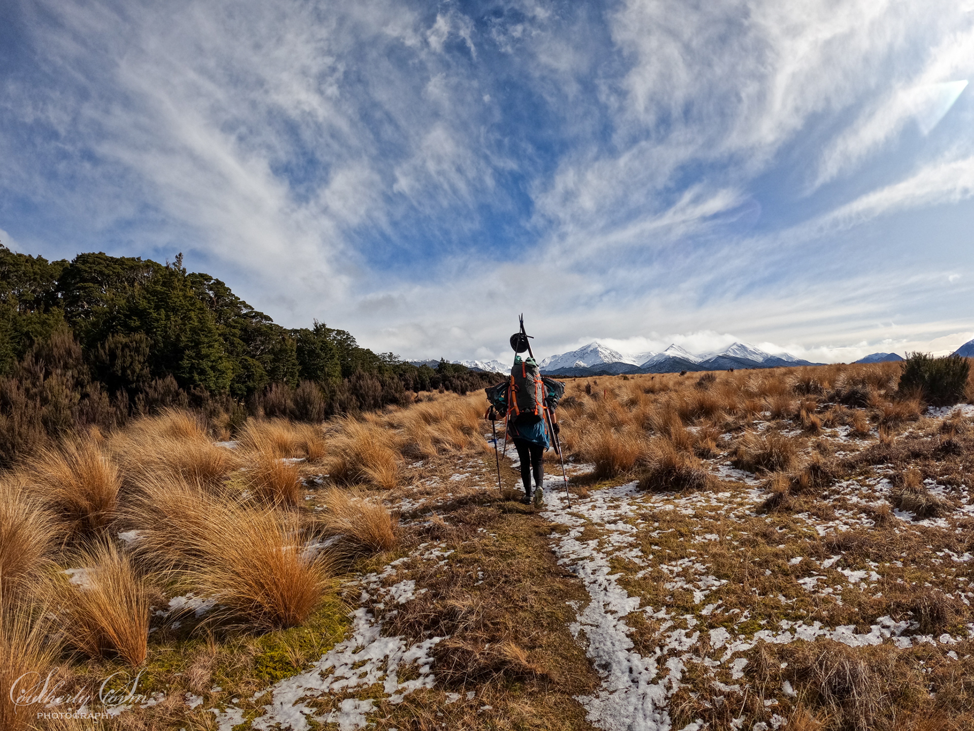 Skier in tussock