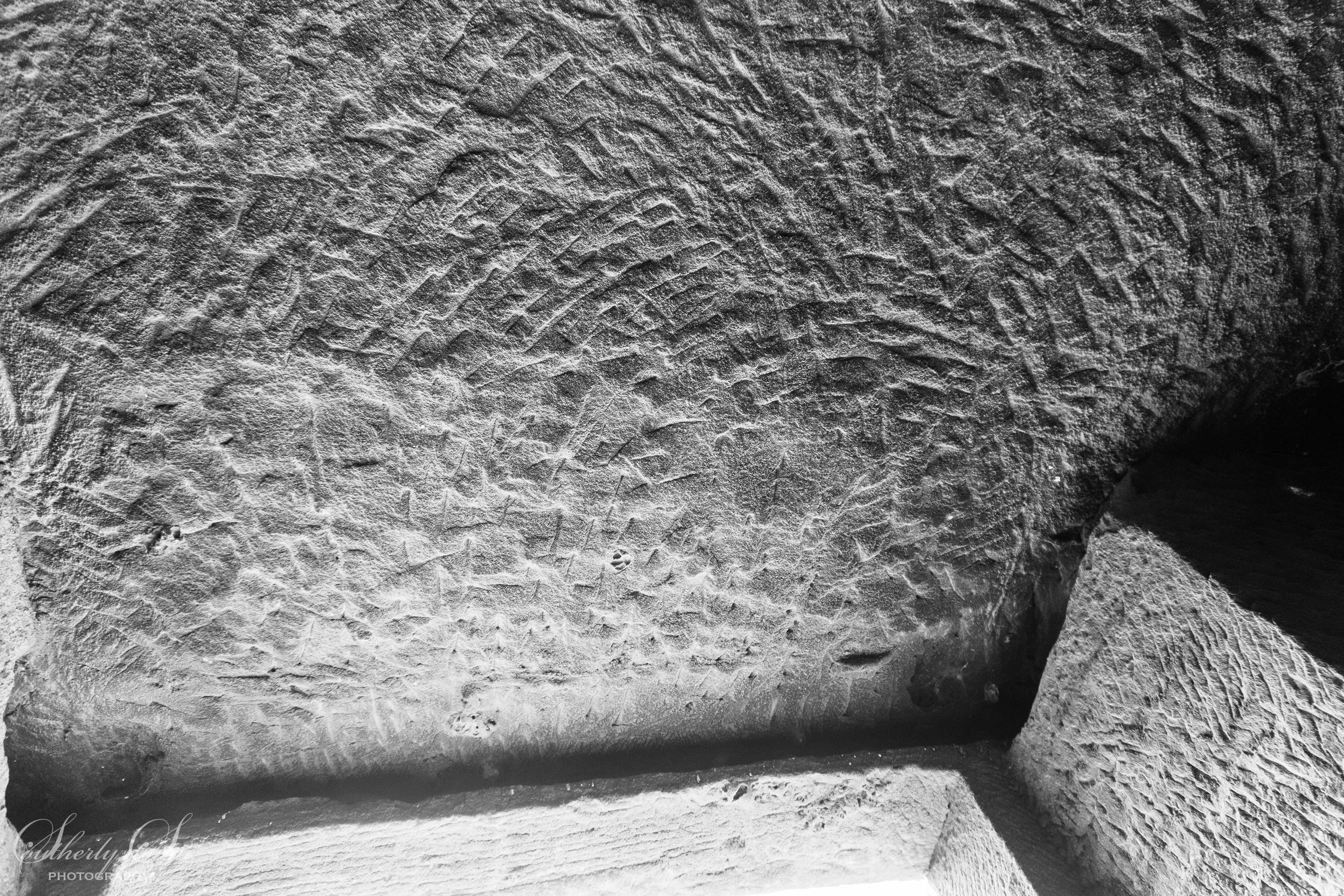 Petra in black and white