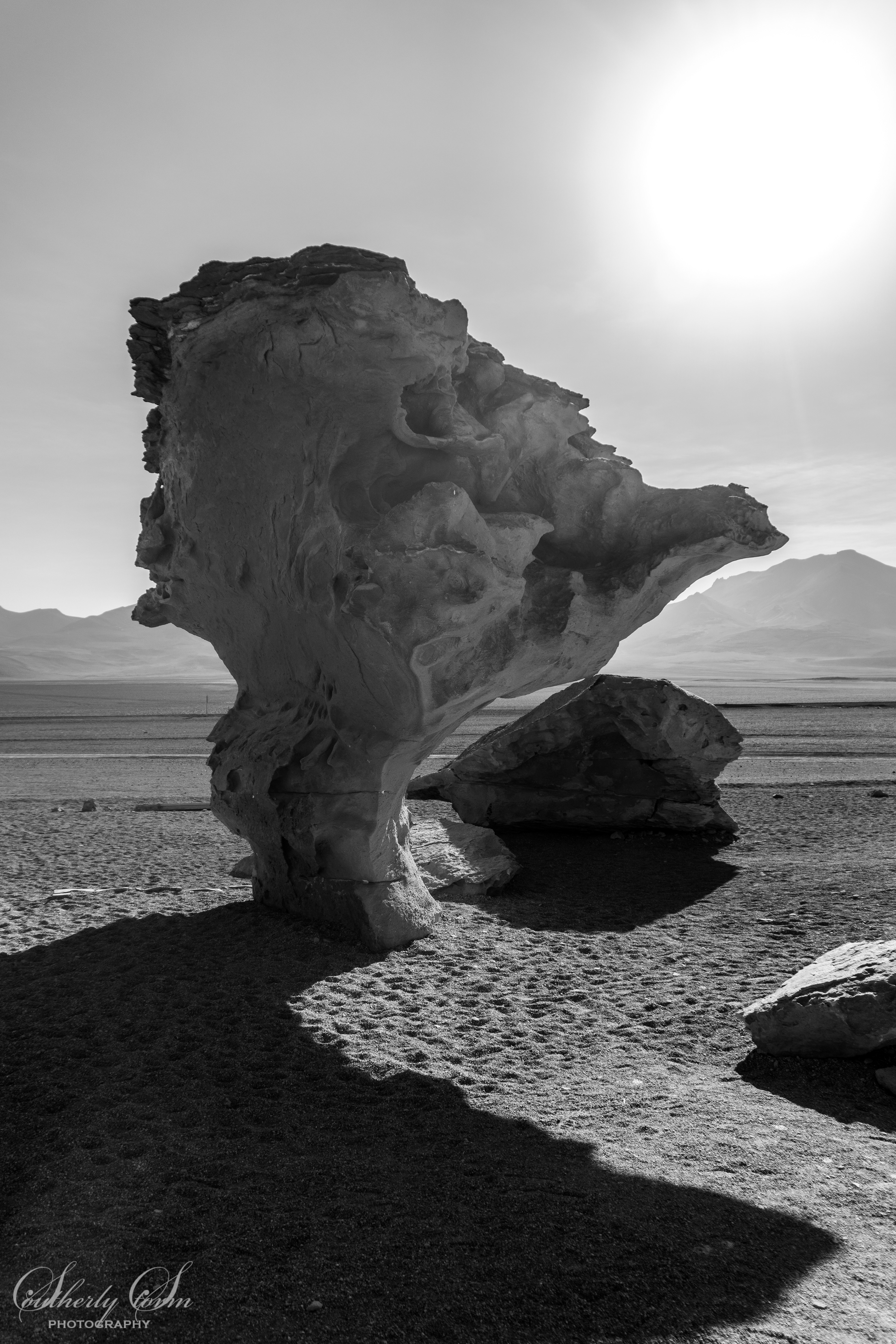 Árbol de Piedra - the stone tree