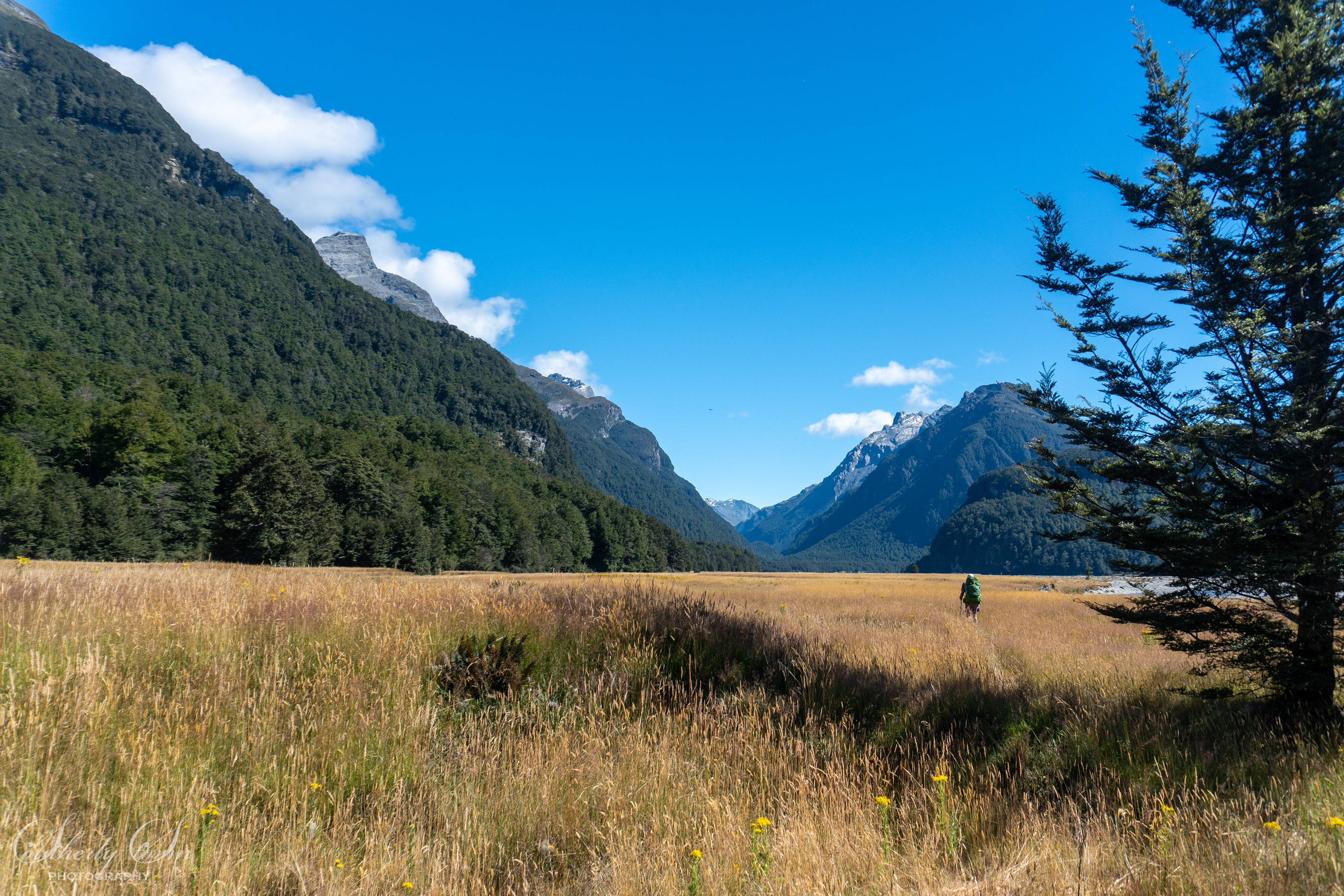 Lower Dart Valley