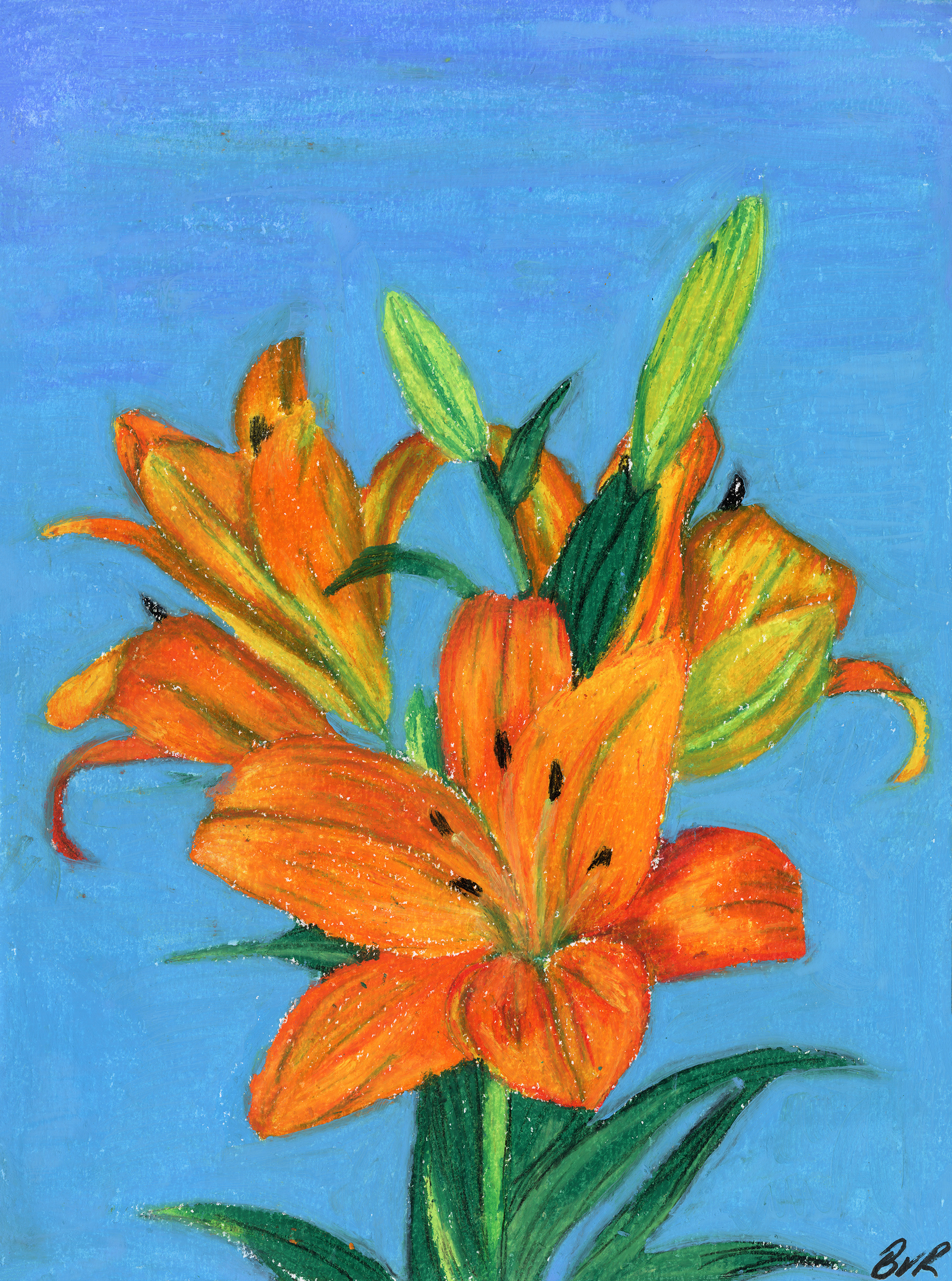 "Hemerocallis" 2023, 8x11" (Oil Pastel and Mineral Spirits)