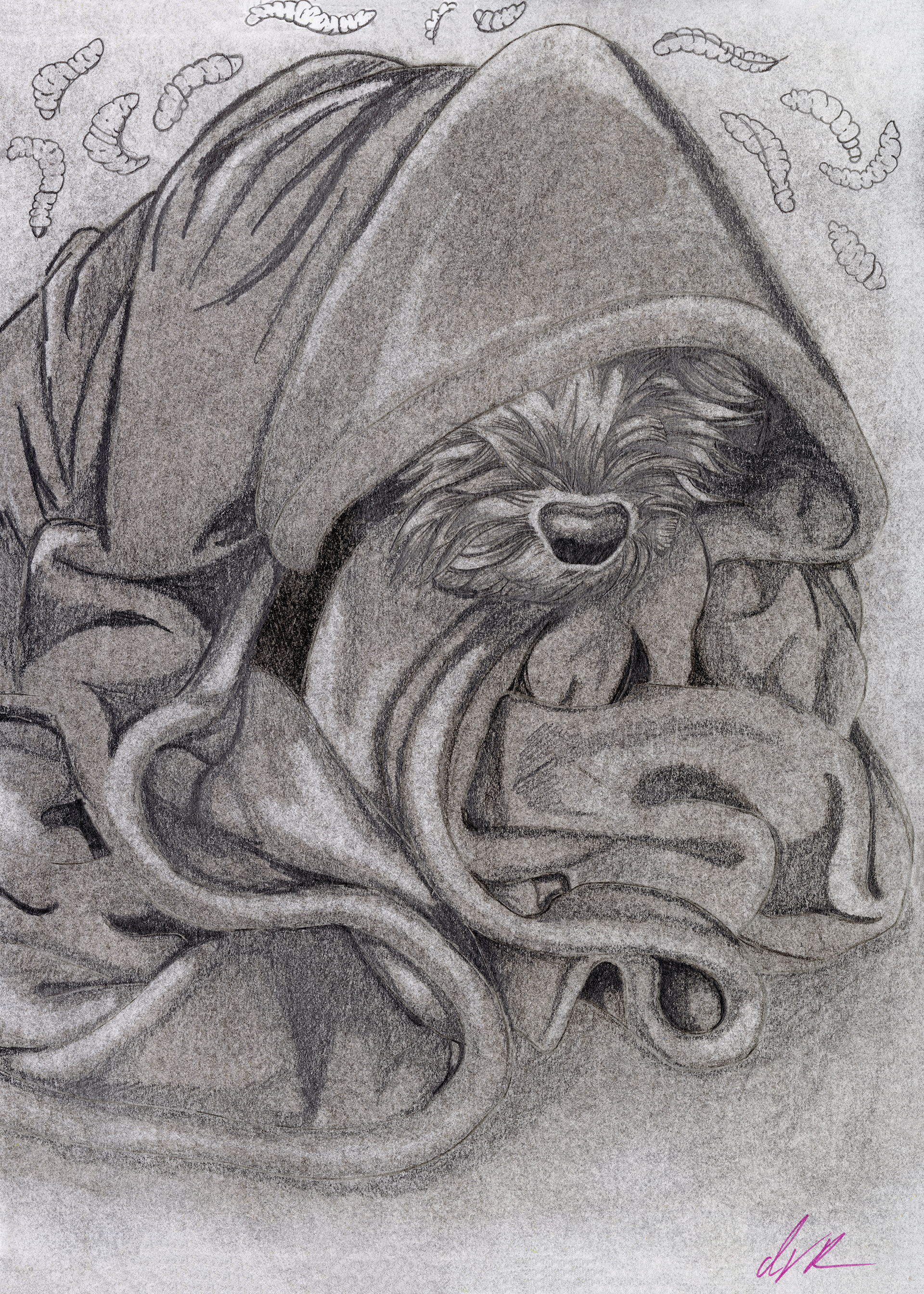 "Maggot the Grey" 2023, 7.75x10.75"(Graphite)
