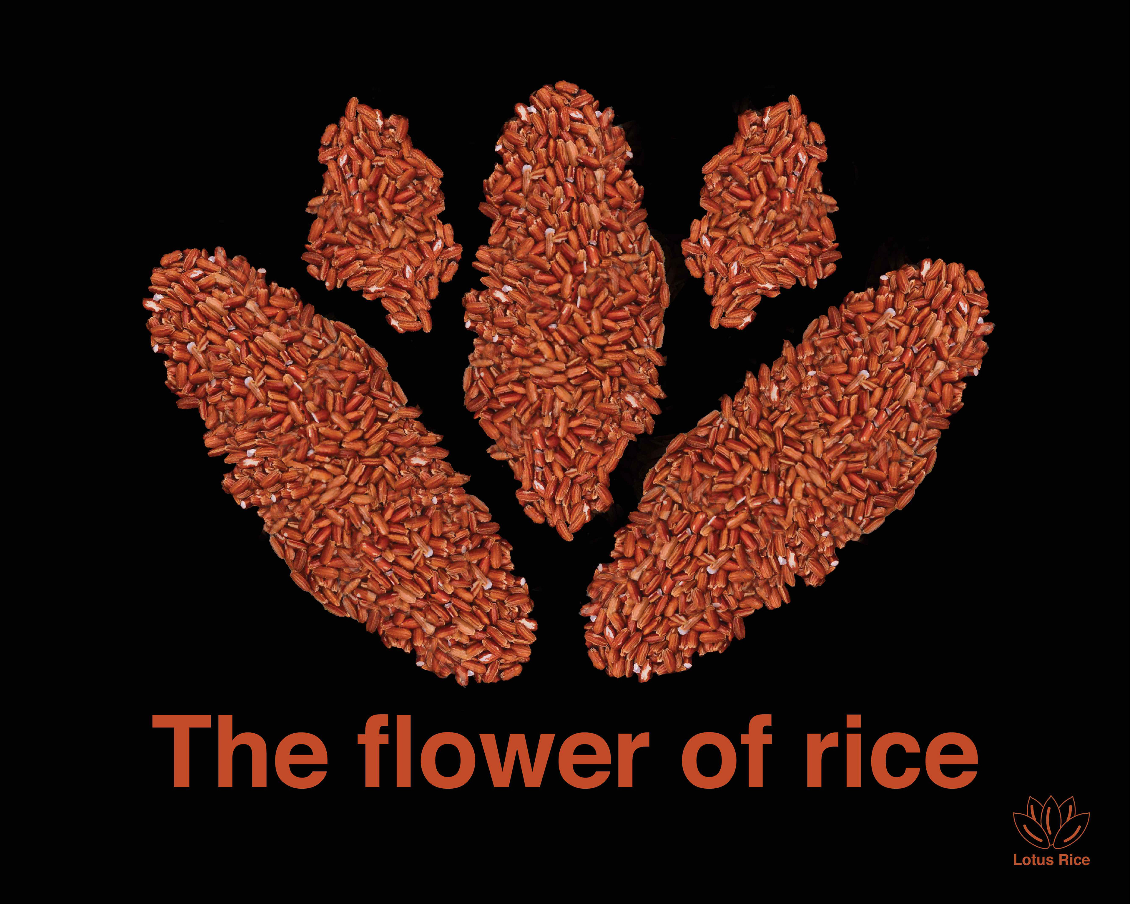 Red Rice - Lotus/Logo Shaped