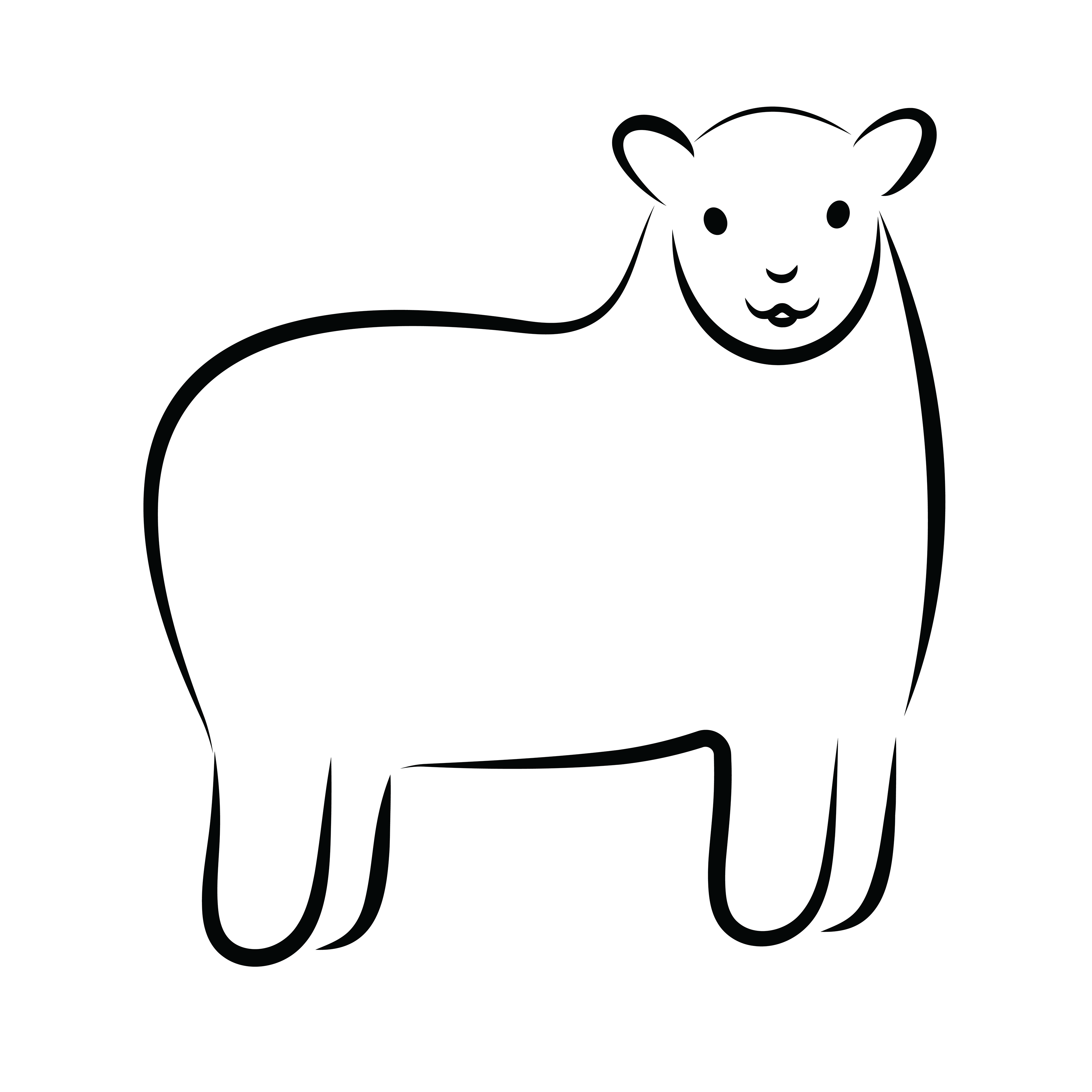 Sheep