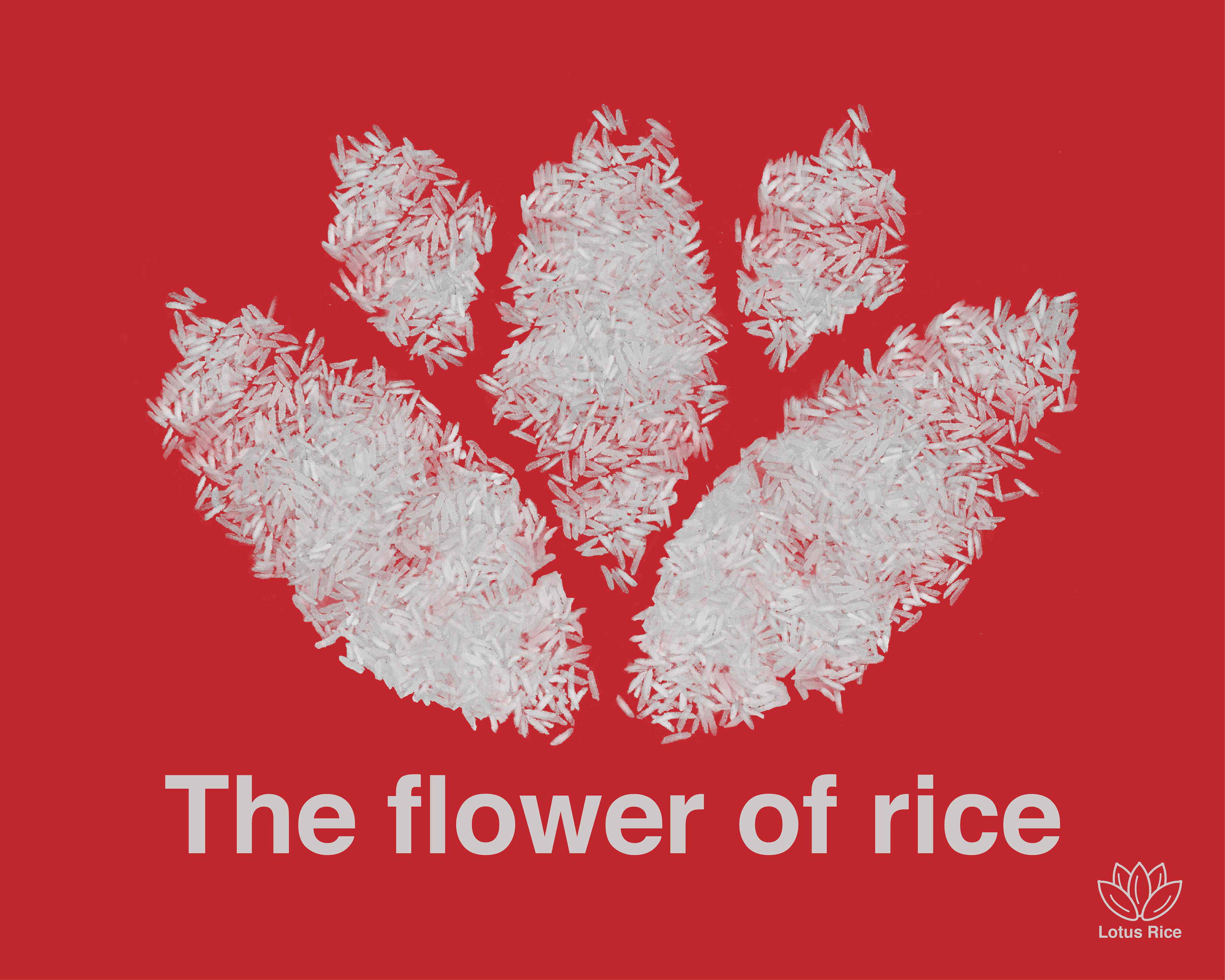 White Rice - Lotus/Logo Shaped