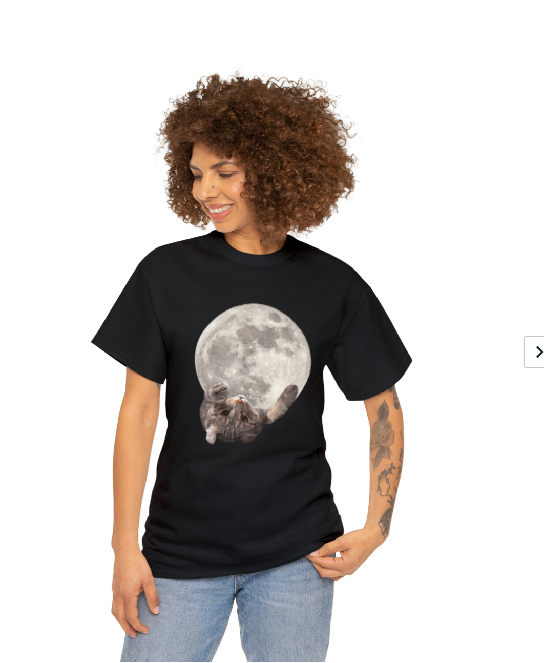 Cat on the Moon