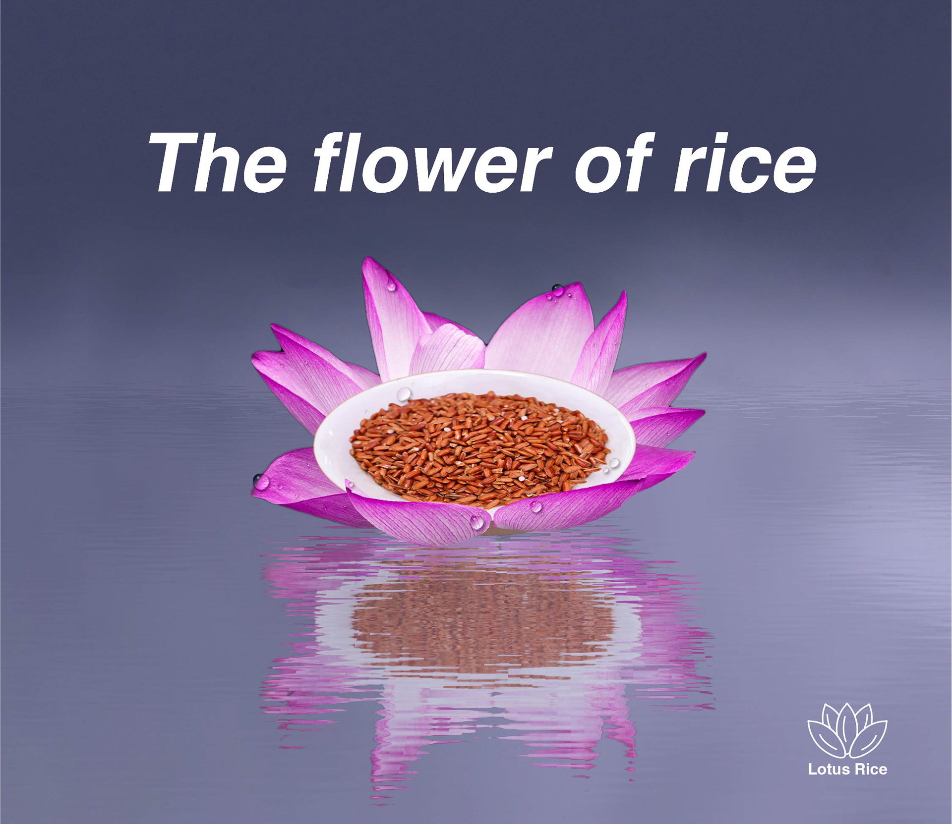 Red Rice Lotus Floating on Water (Small Bowl)