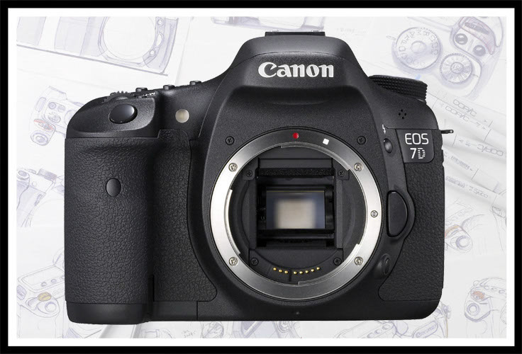 2010 Canon EOS 7D