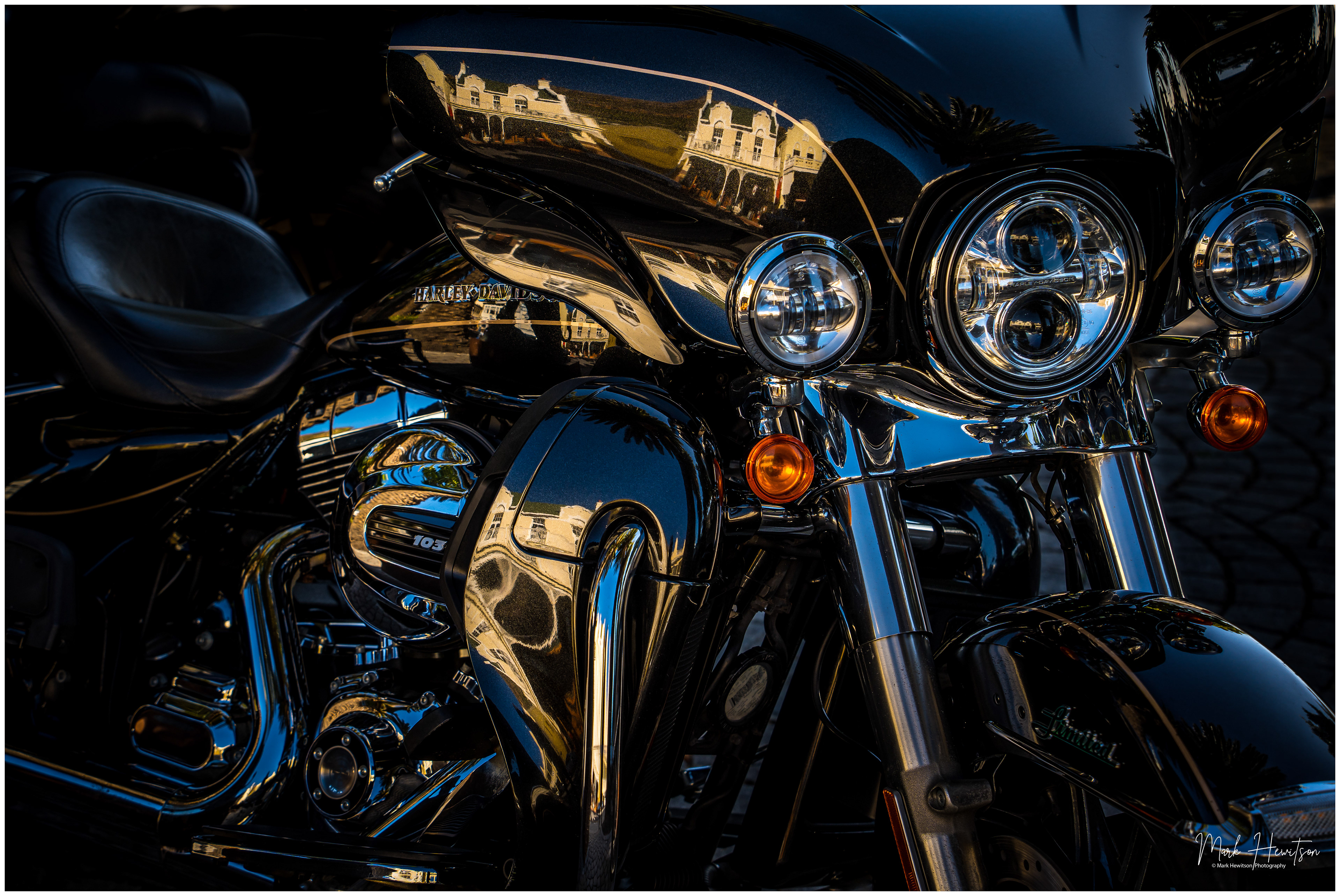 Harley - Simons Town 1