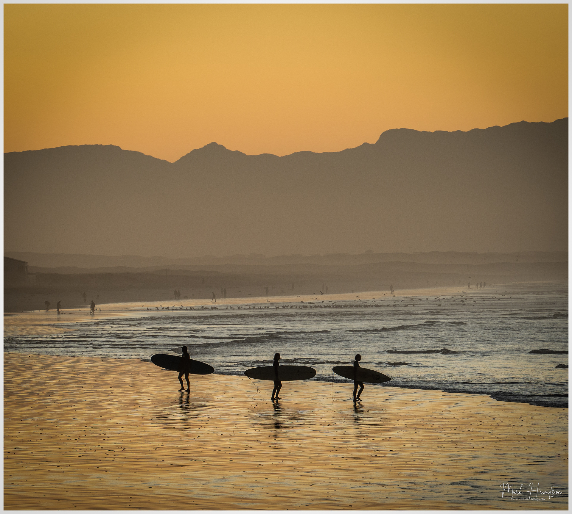 Single Line Surfers