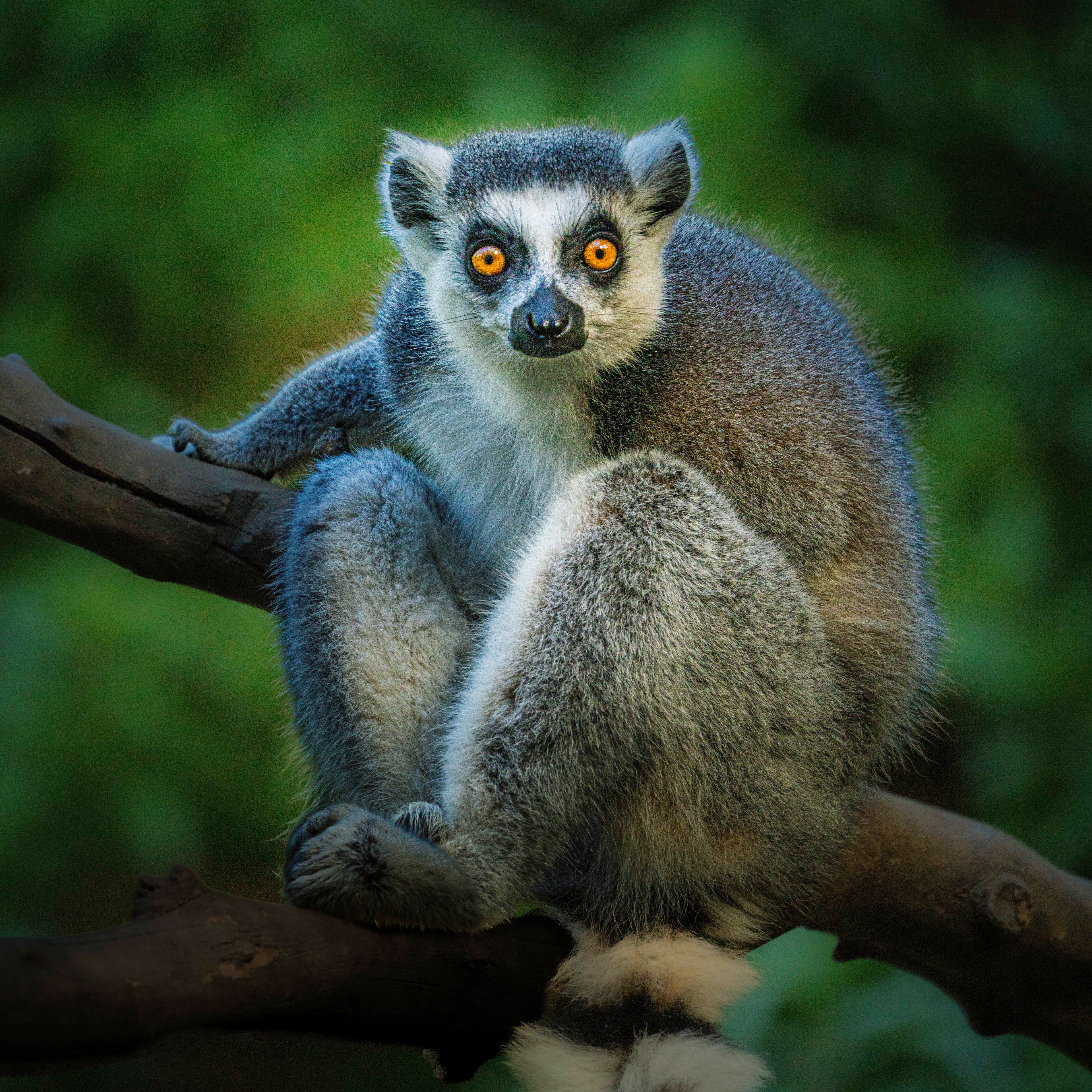 You are getting sleepy...