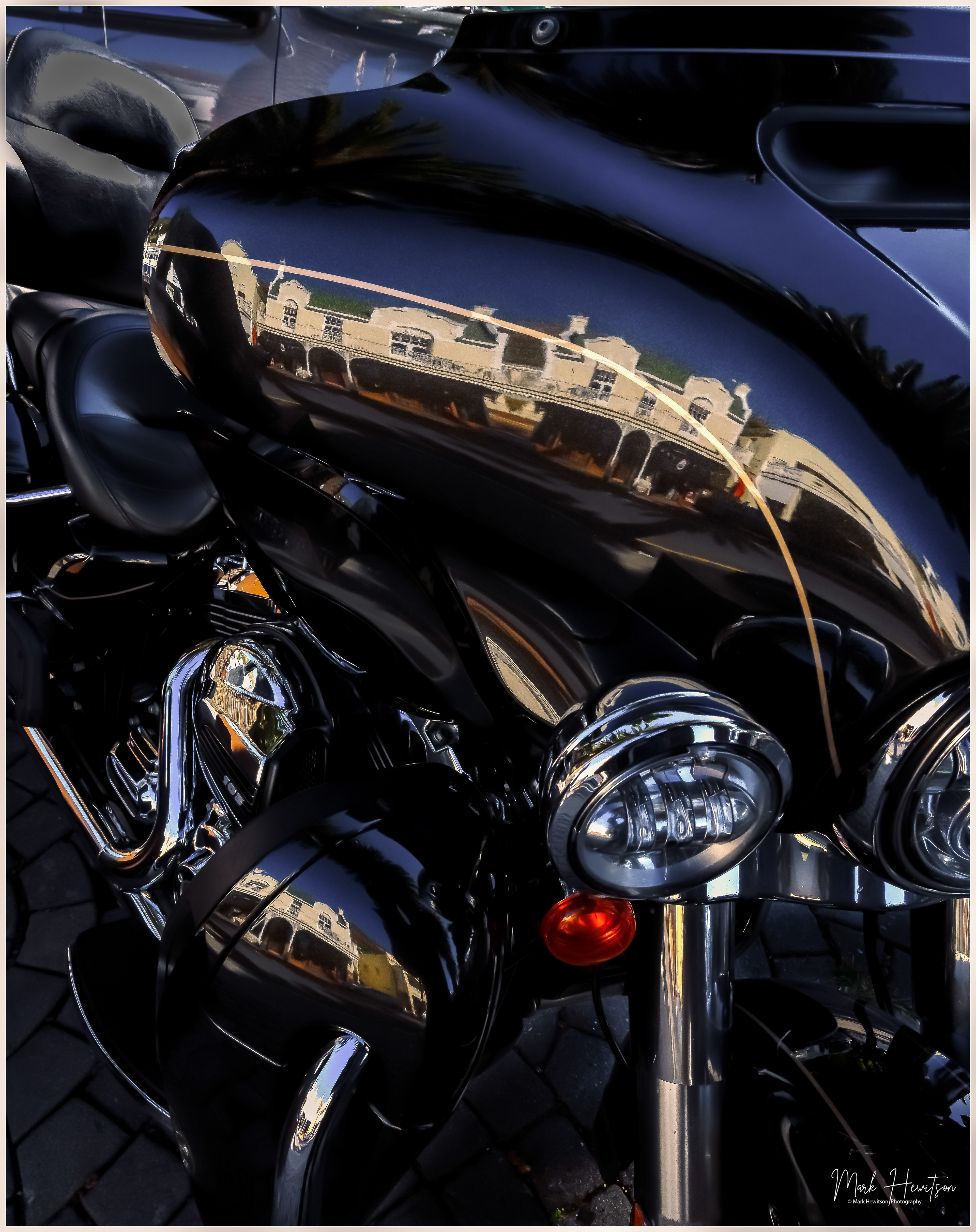 Harley - Simons Town 2