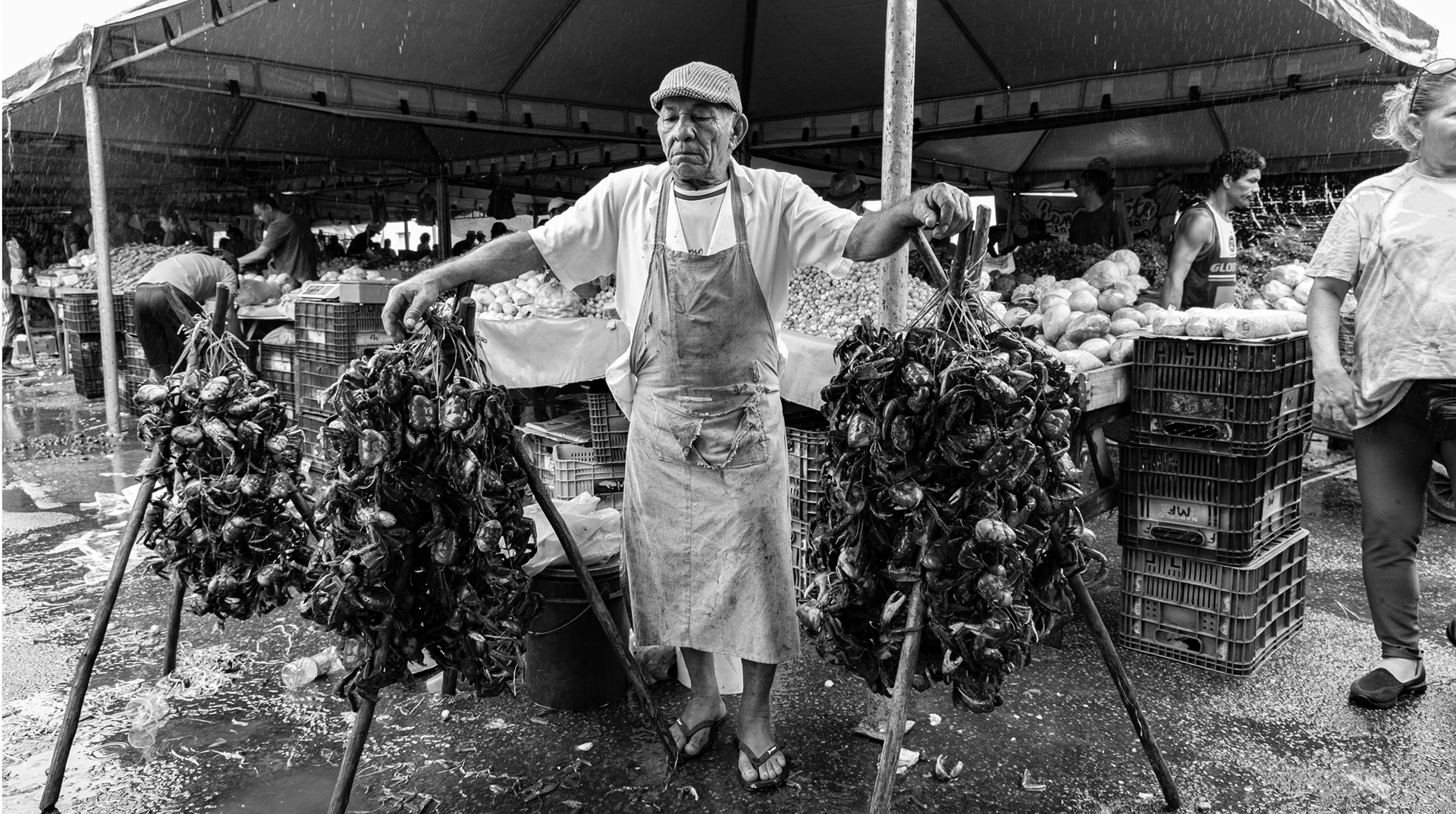 Vendedor de Caranguejos - Feira RN