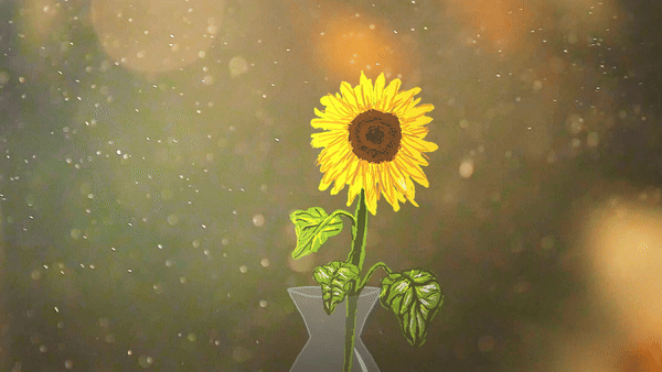 Introduction 'single sunflower' video