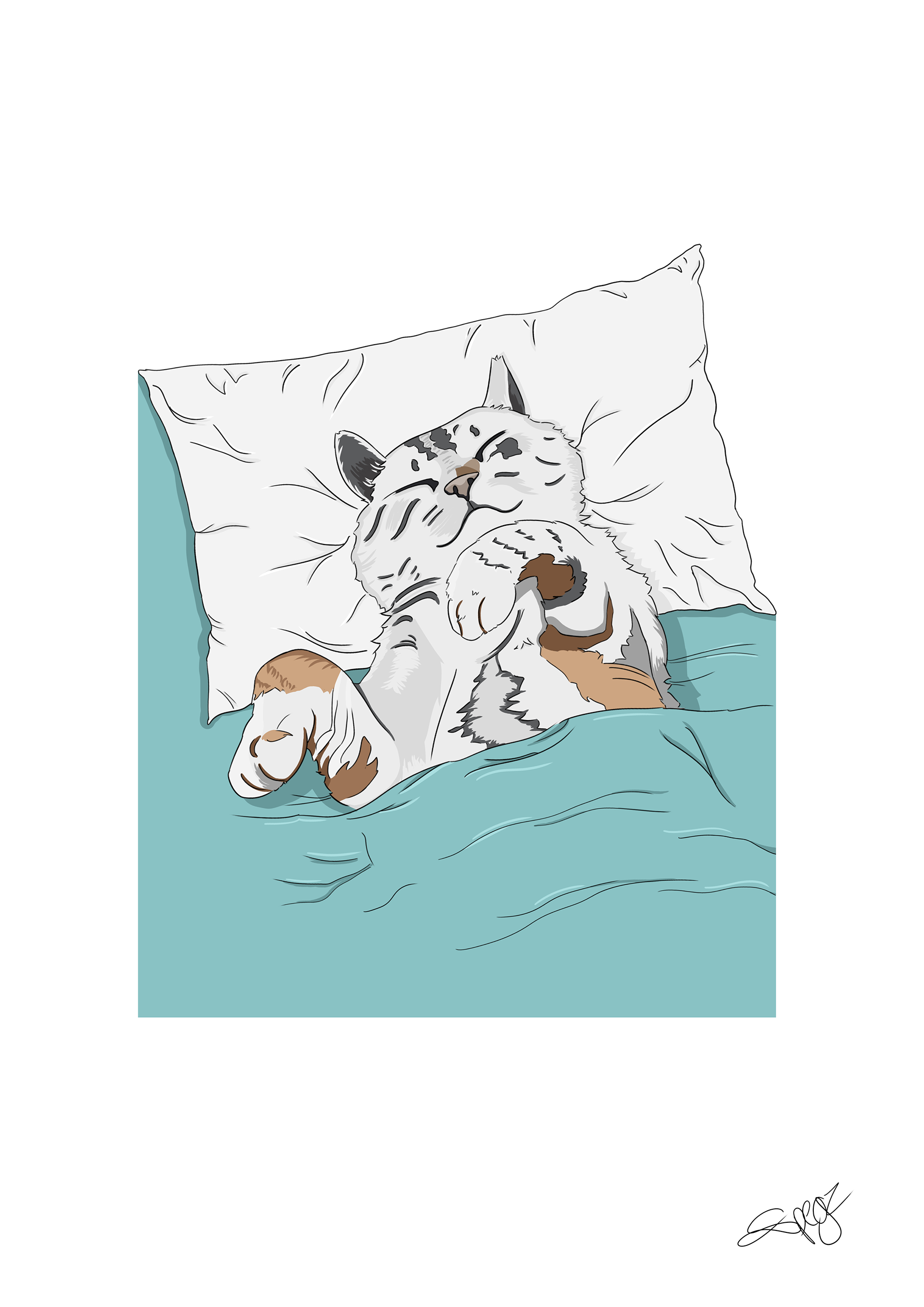 Comfy