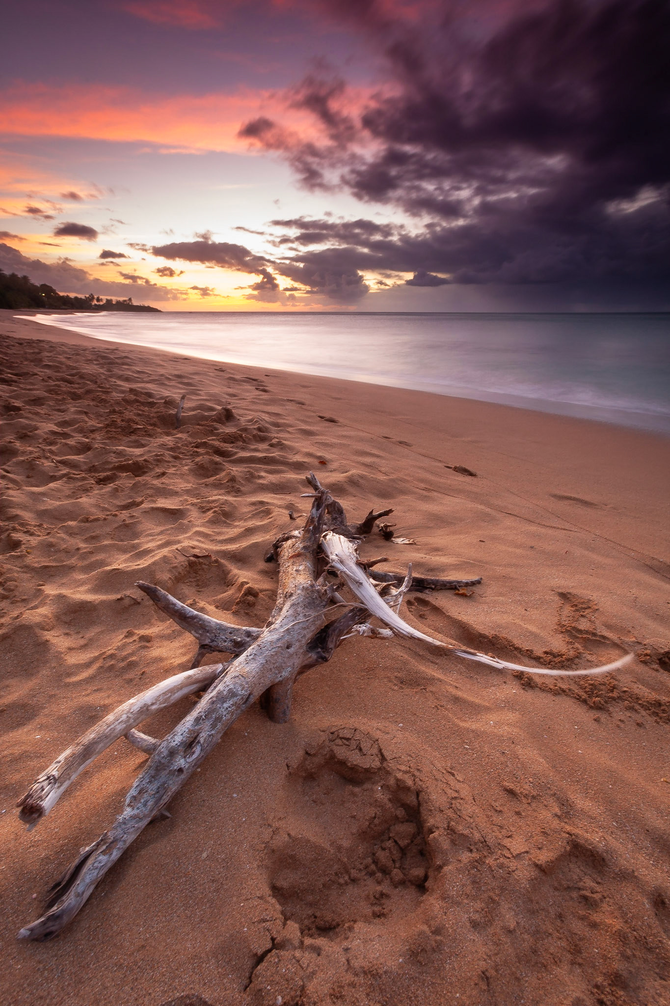 Plage Basse Terre
