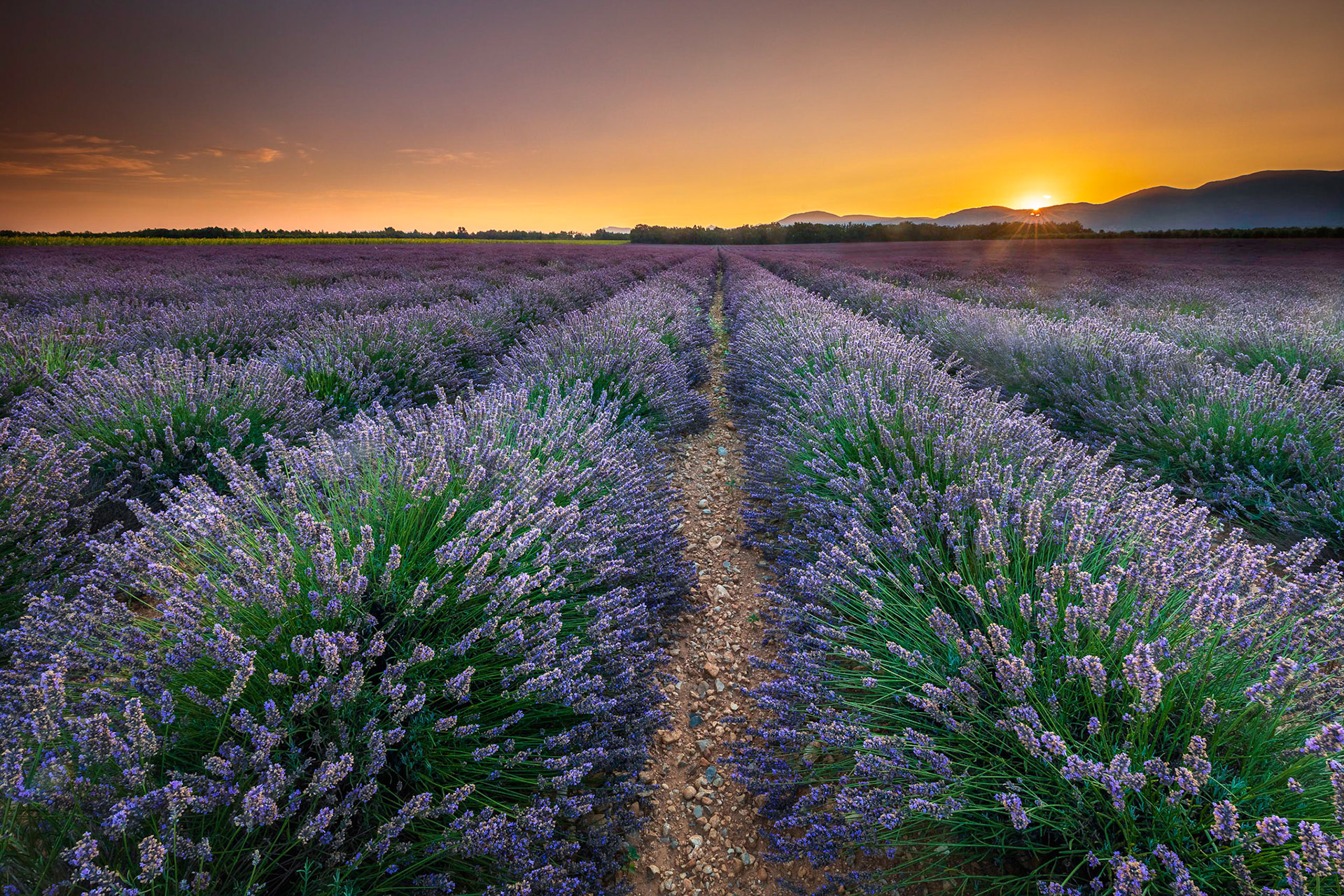 #instagood#me#nisifilters#cute#follow#followme#photooftheday#happy#tagforlikes#beautiful