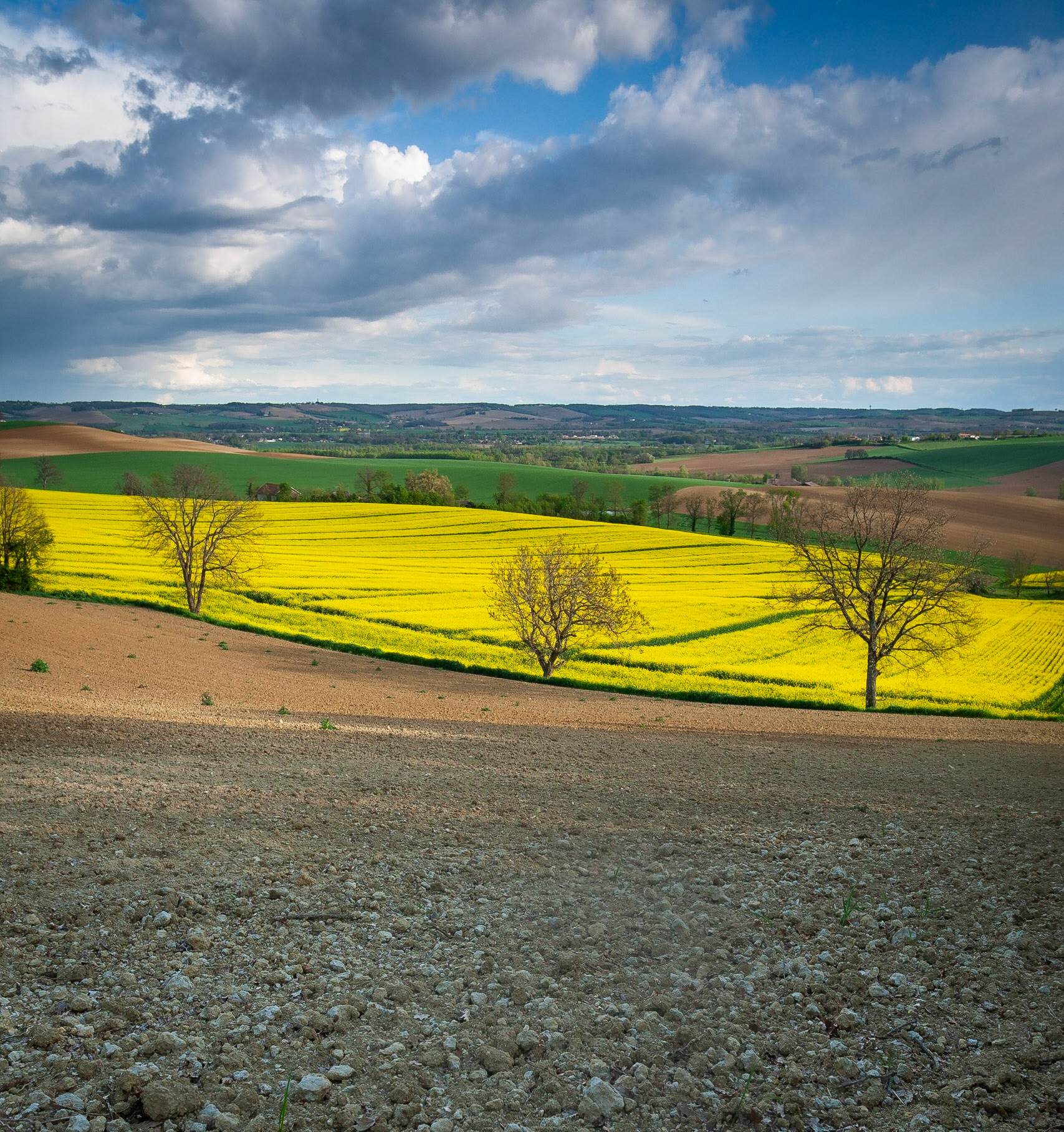 Plaines et Collines par Hervé Dugoujon