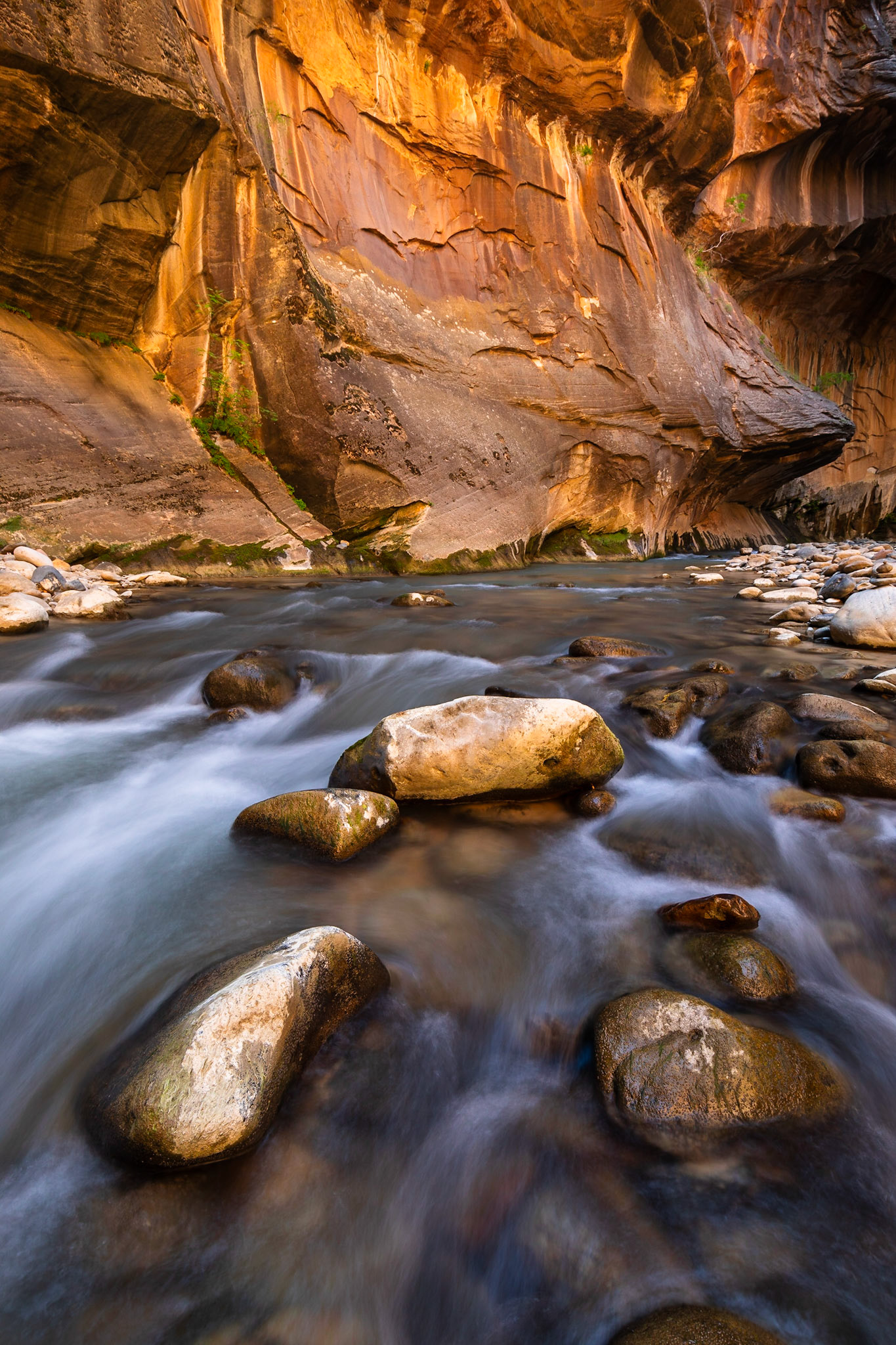 Zion - The narrows