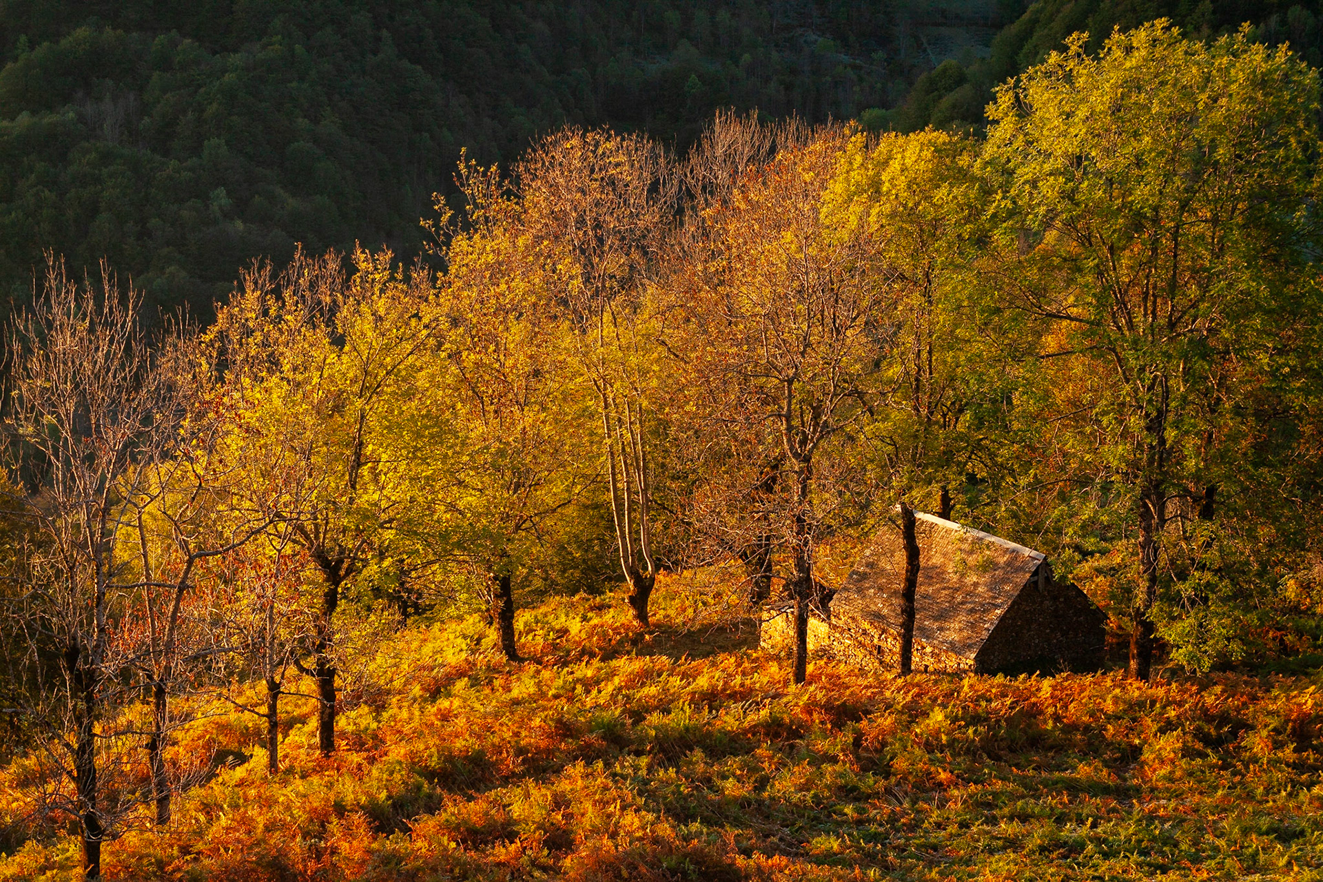 © Hervé Dugoujon - Lacs, Montagne et Rivières