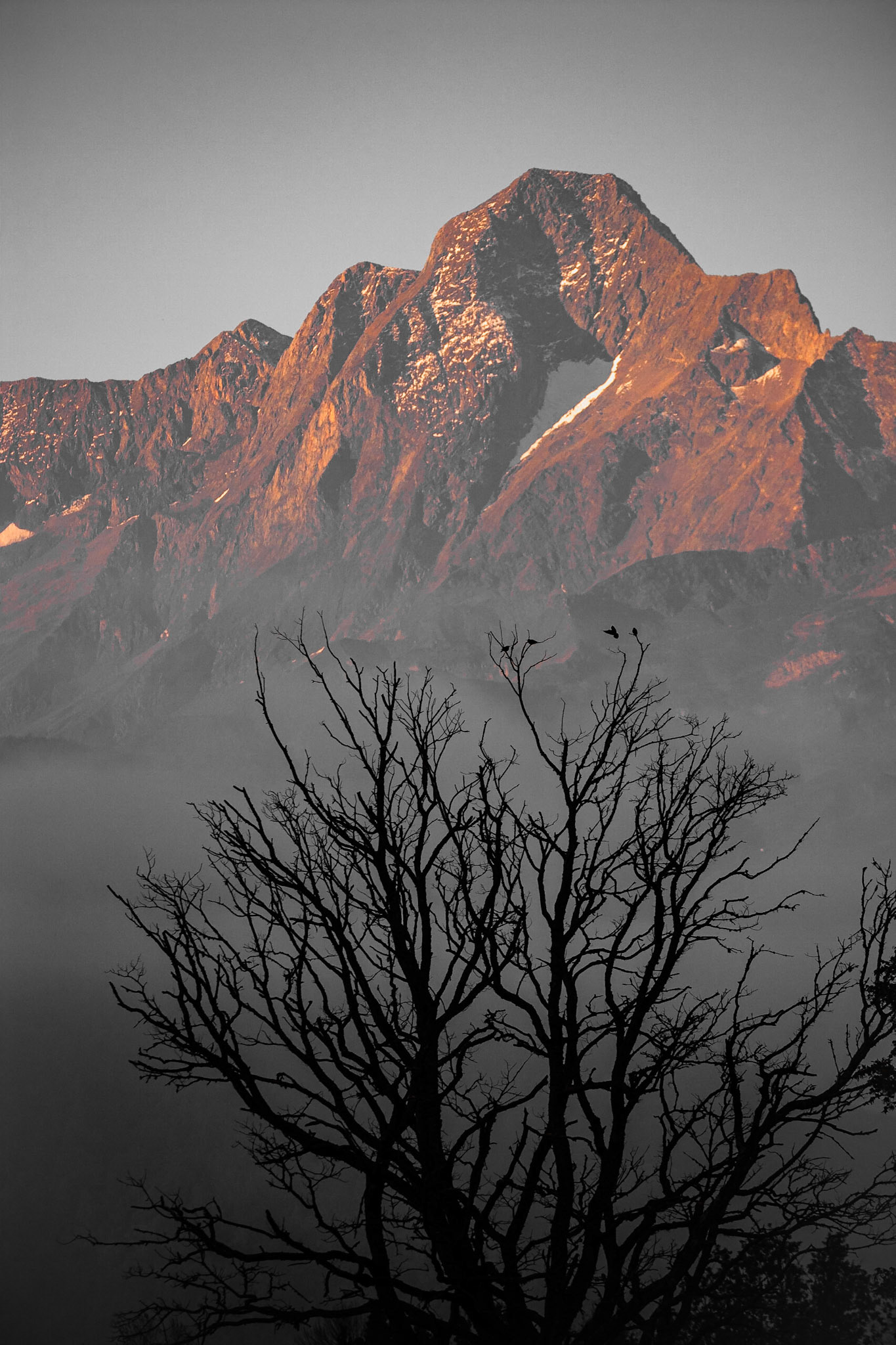 Autumn forest #Autumn #Canon #forest