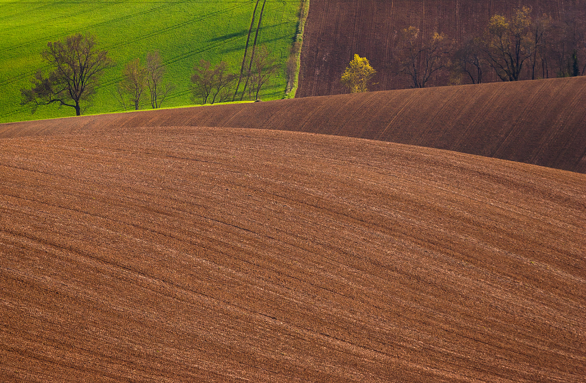 Plaines et Collines par Hervé Dugoujon