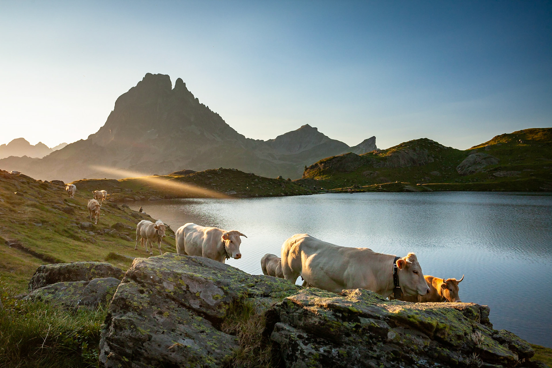 © Hervé Dugoujon - Lacs, Montagne et Rivières