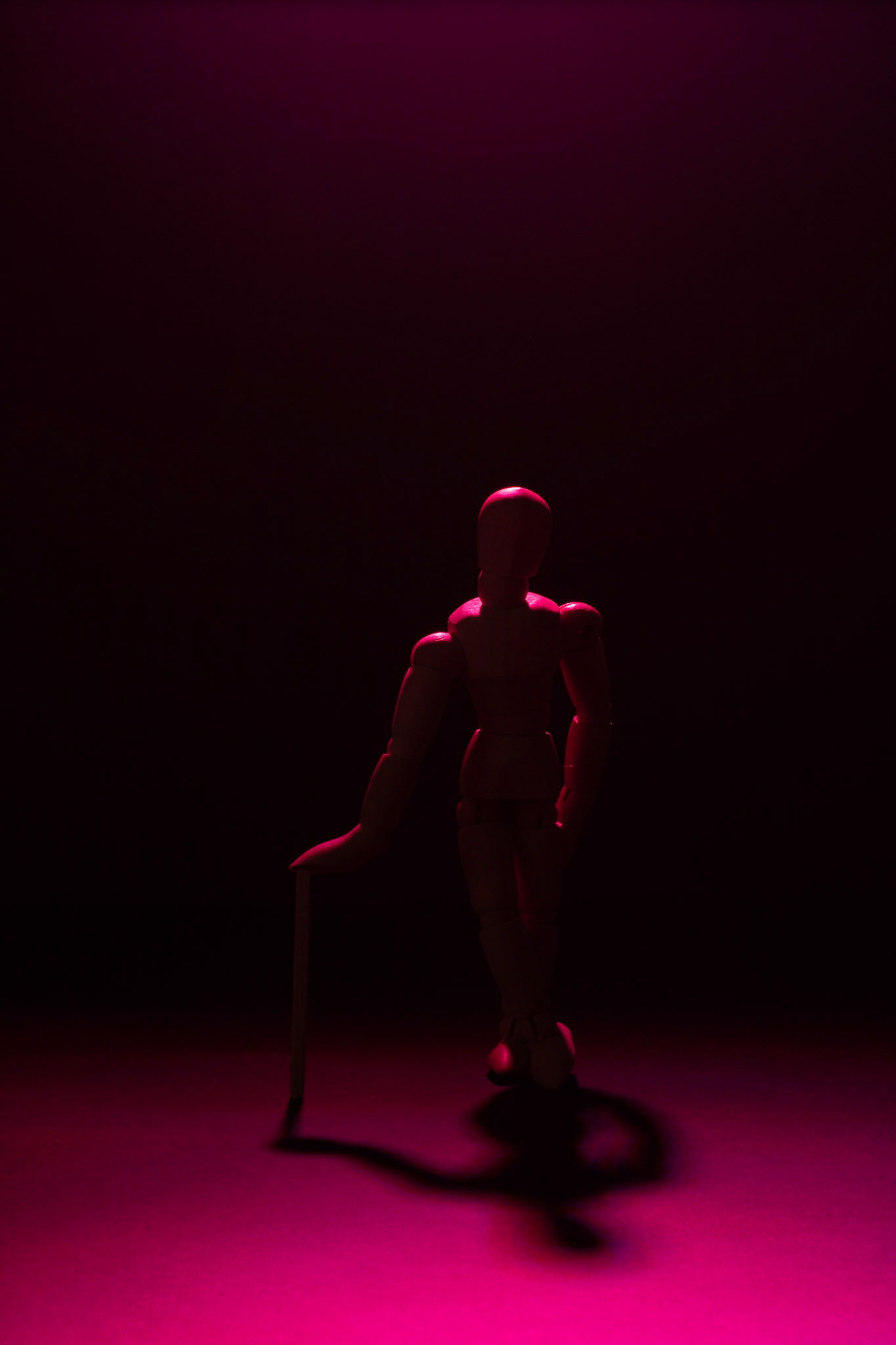 My very patient model during confinement