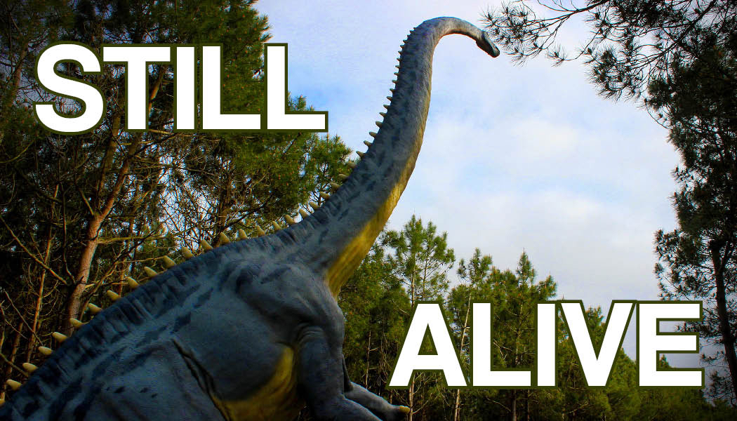 November 1, 2020 | Thanks to the free image library available from piqsels.com, I was finally able to add a living dinosaur to the face of Still Alive!