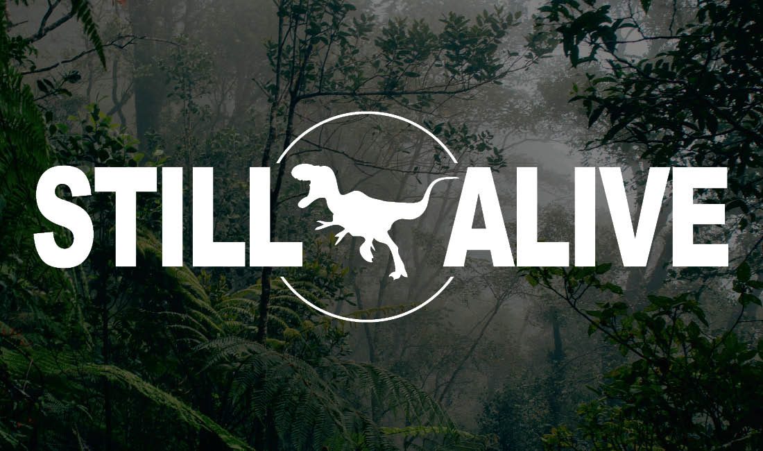 October 27, 2019 | With a dinosaur borrowed from a free glyph font and a mysterious jungle background from a free stock photo site, this card echoes with the first baby steps of Card-Carrying Christians.