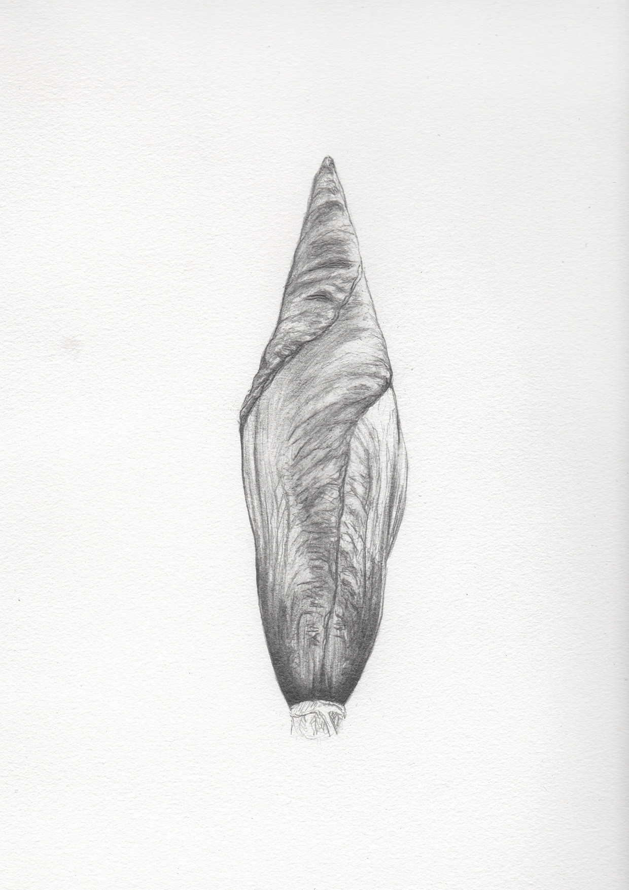 by Tura Sanglas