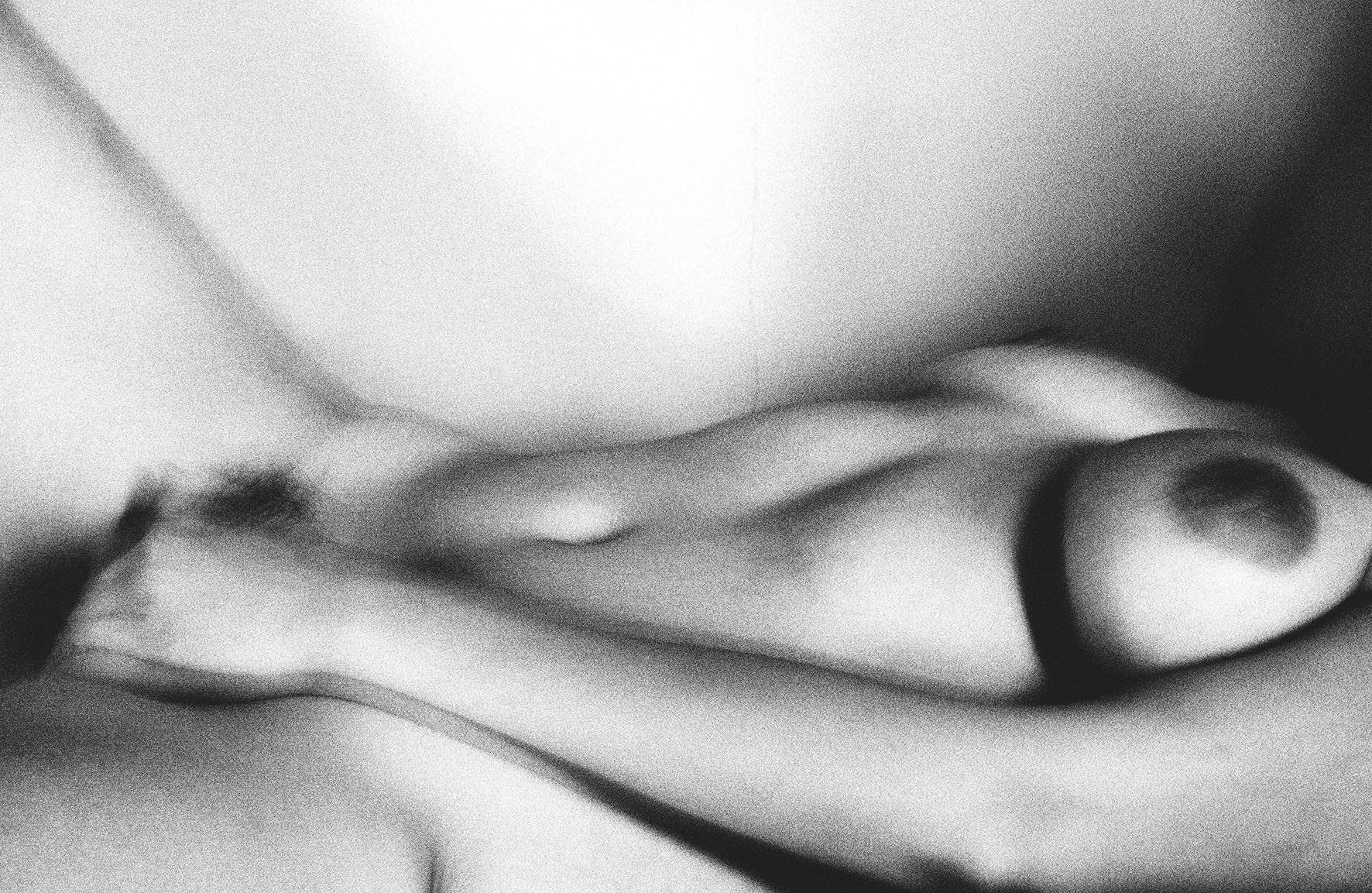 by Maria Alzamora