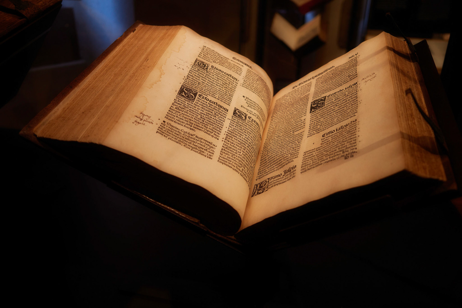SELESTAT et la bibliothèque humaniste