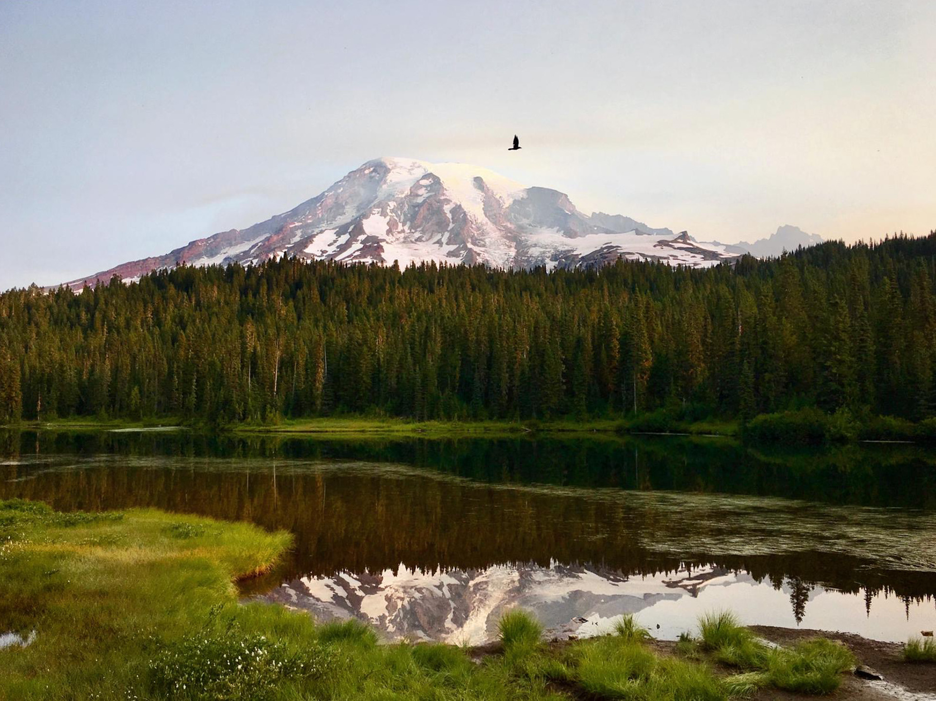 mount rainier - Photo by Sindhu Sekhar