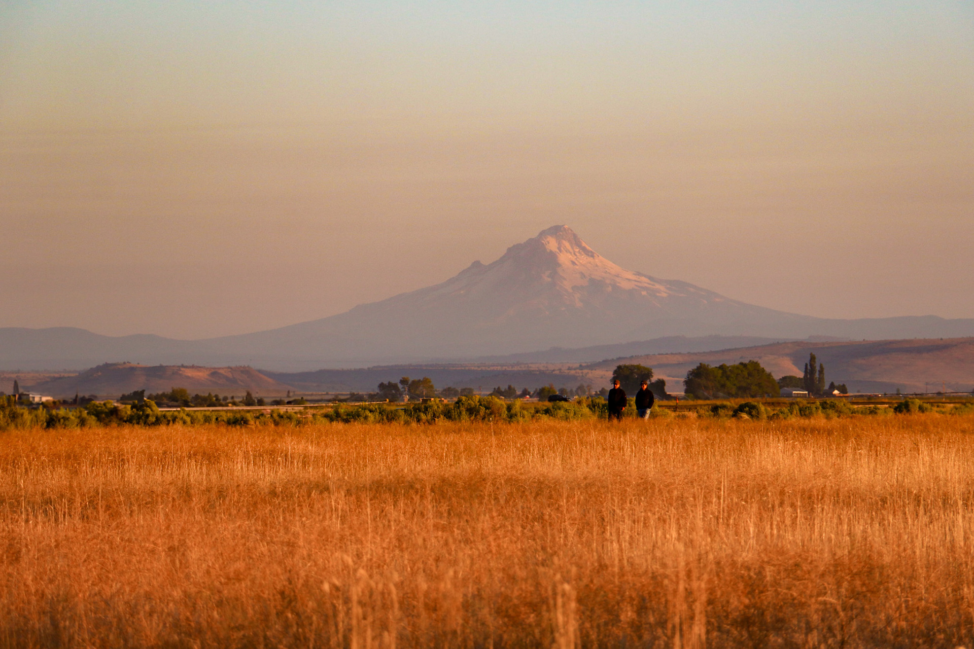 mount Jefferson Oregon - Photo by Sindhu Sekhar