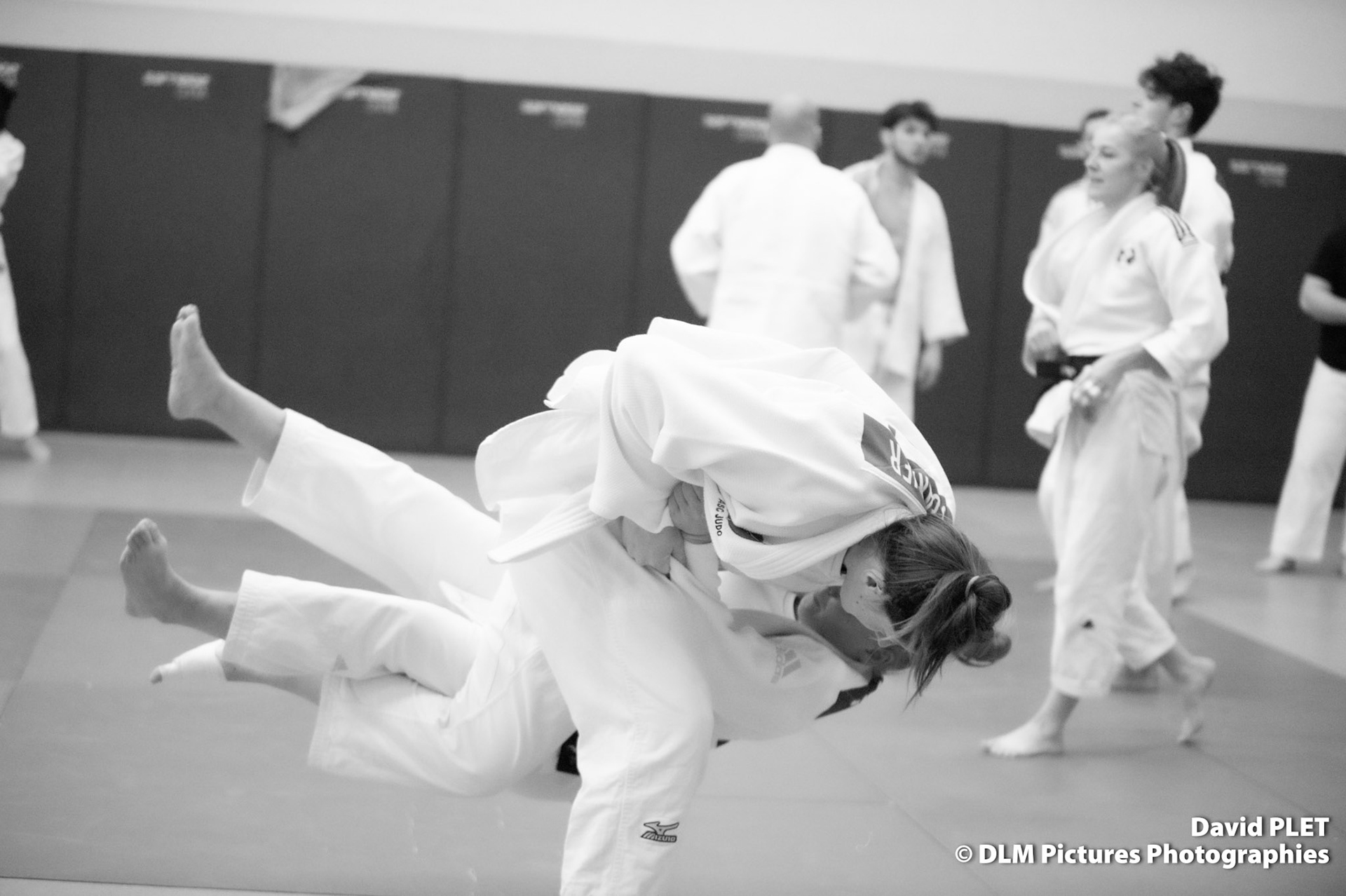 TOURNOI PAR EQUIPES MIXTES FORMULE OLYMPIQUE AMIENS SC JUDO 17 FEVRIER 2024 COLISEUM