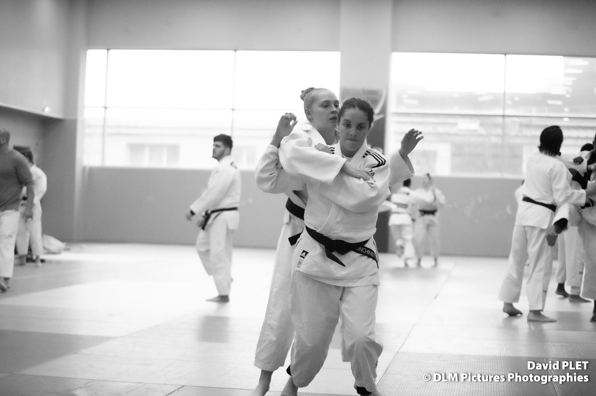 TOURNOI PAR EQUIPES MIXTES FORMULE OLYMPIQUE AMIENS SC JUDO 17 FEVRIER 2024 COLISEUM