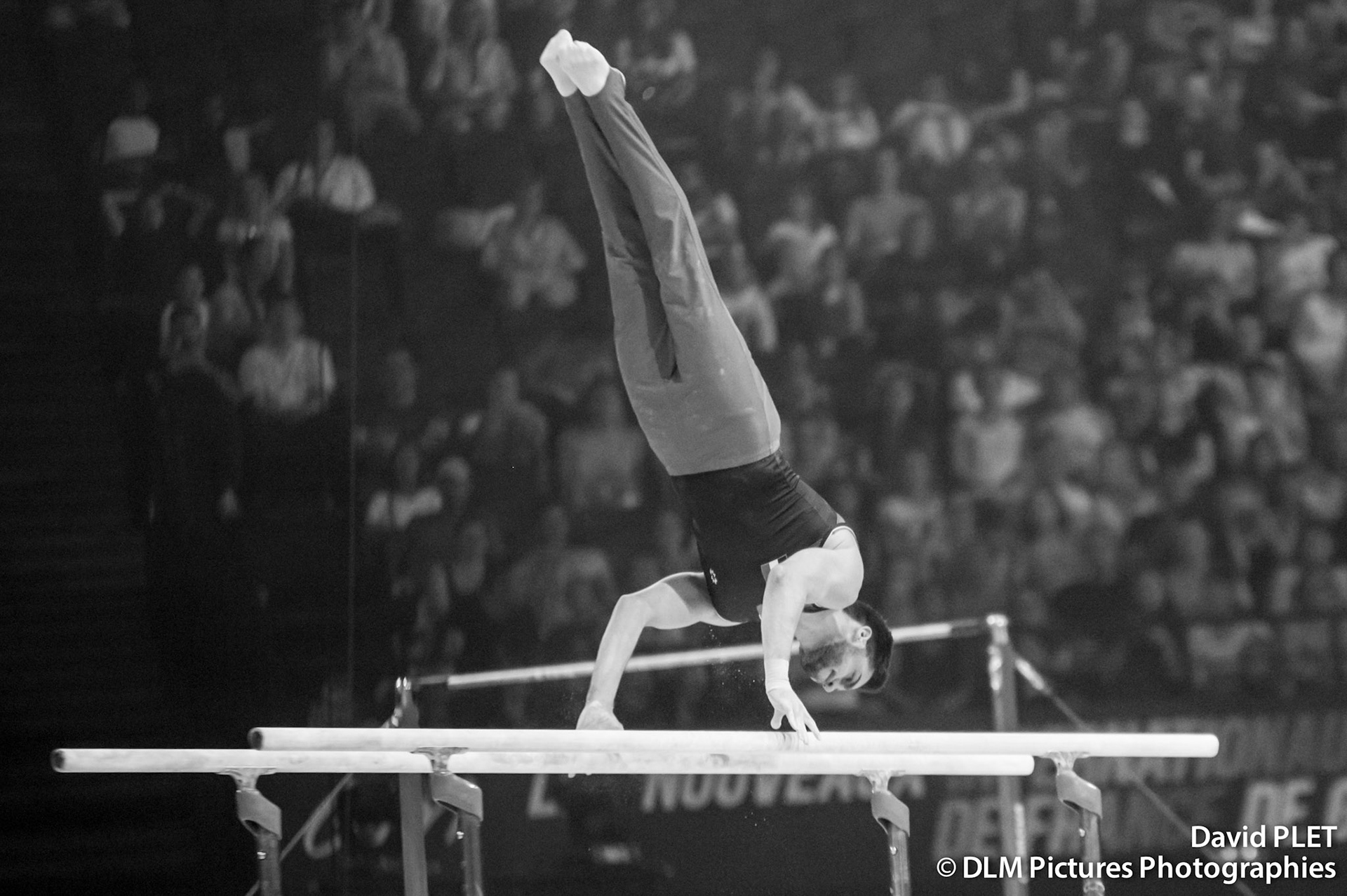 LES NOUVEAUX INTERNATIONAUX DE FRANCE DE GYMNASTIQUE 2023