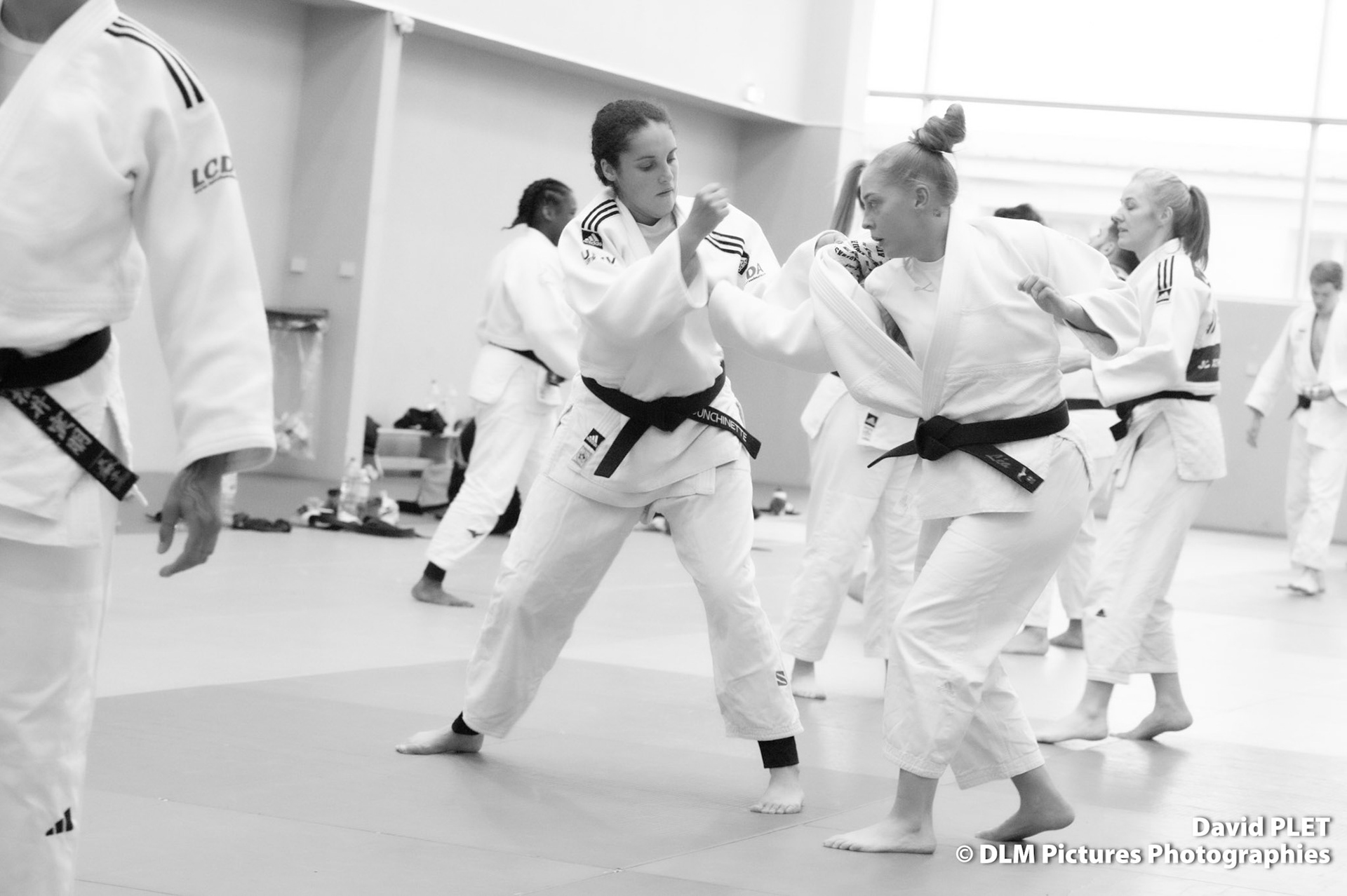 TOURNOI PAR EQUIPES MIXTES FORMULE OLYMPIQUE AMIENS SC JUDO 17 FEVRIER 2024 COLISEUM