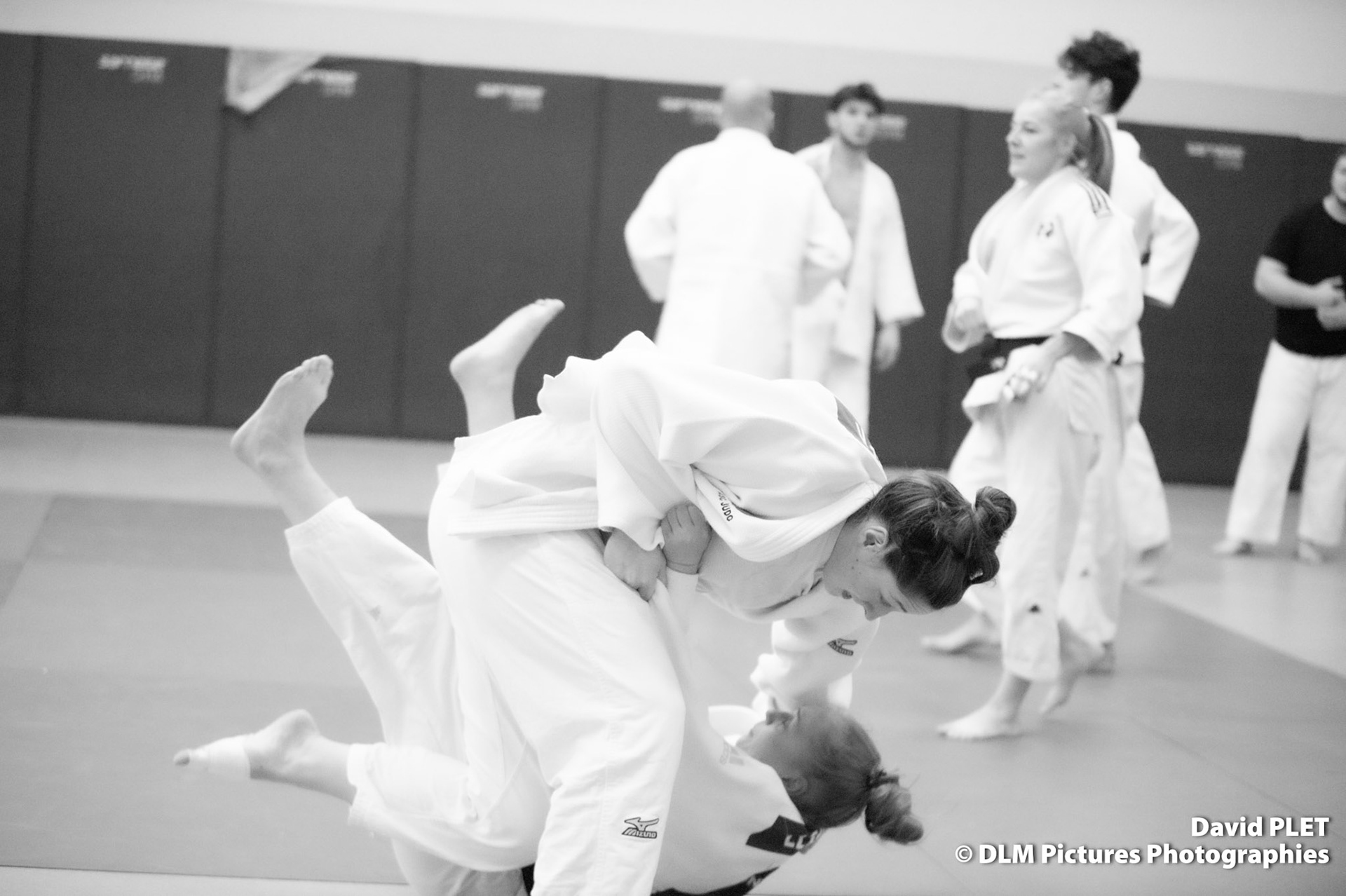 TOURNOI PAR EQUIPES MIXTES FORMULE OLYMPIQUE AMIENS SC JUDO 17 FEVRIER 2024 COLISEUM