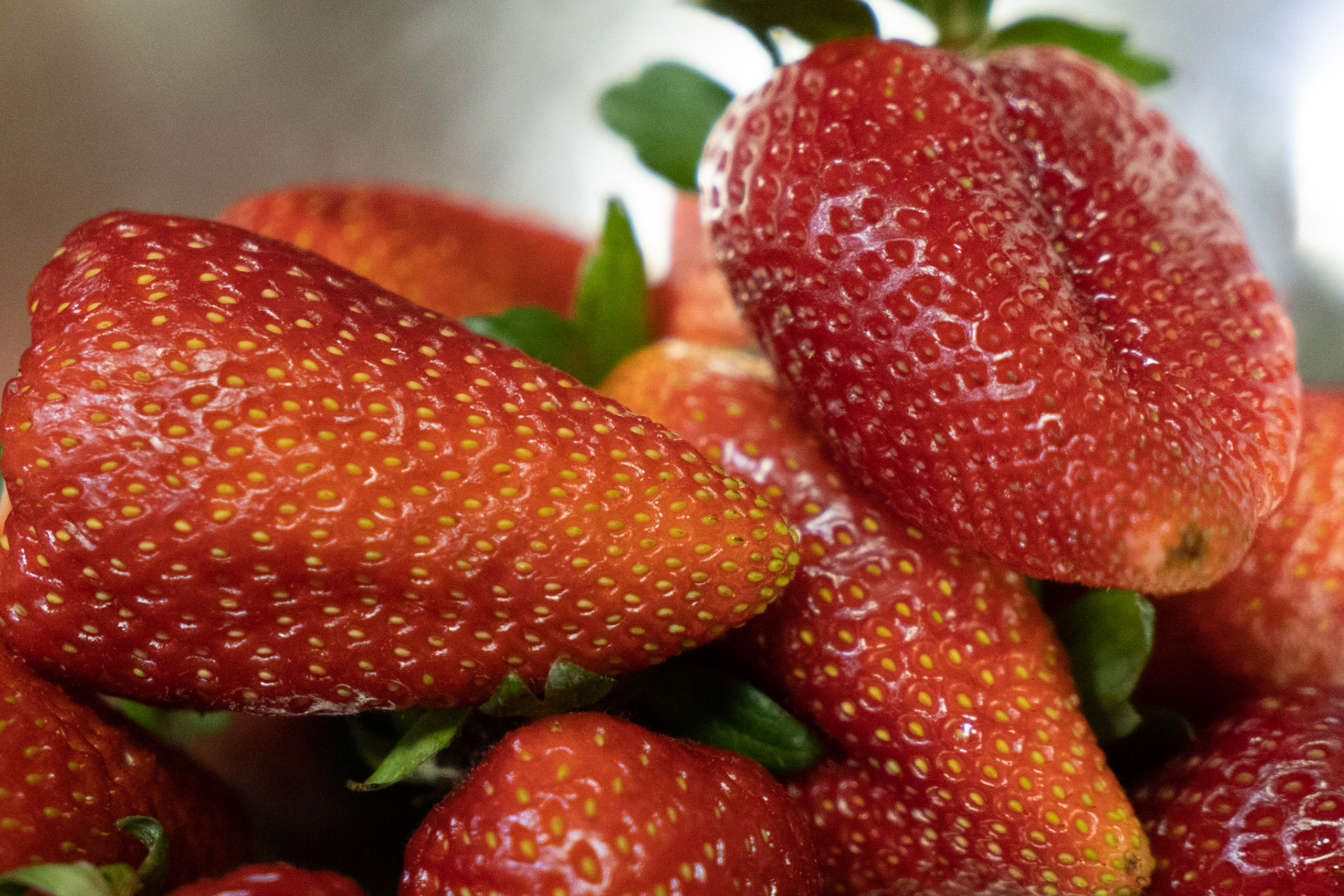 photo credit: witty.media